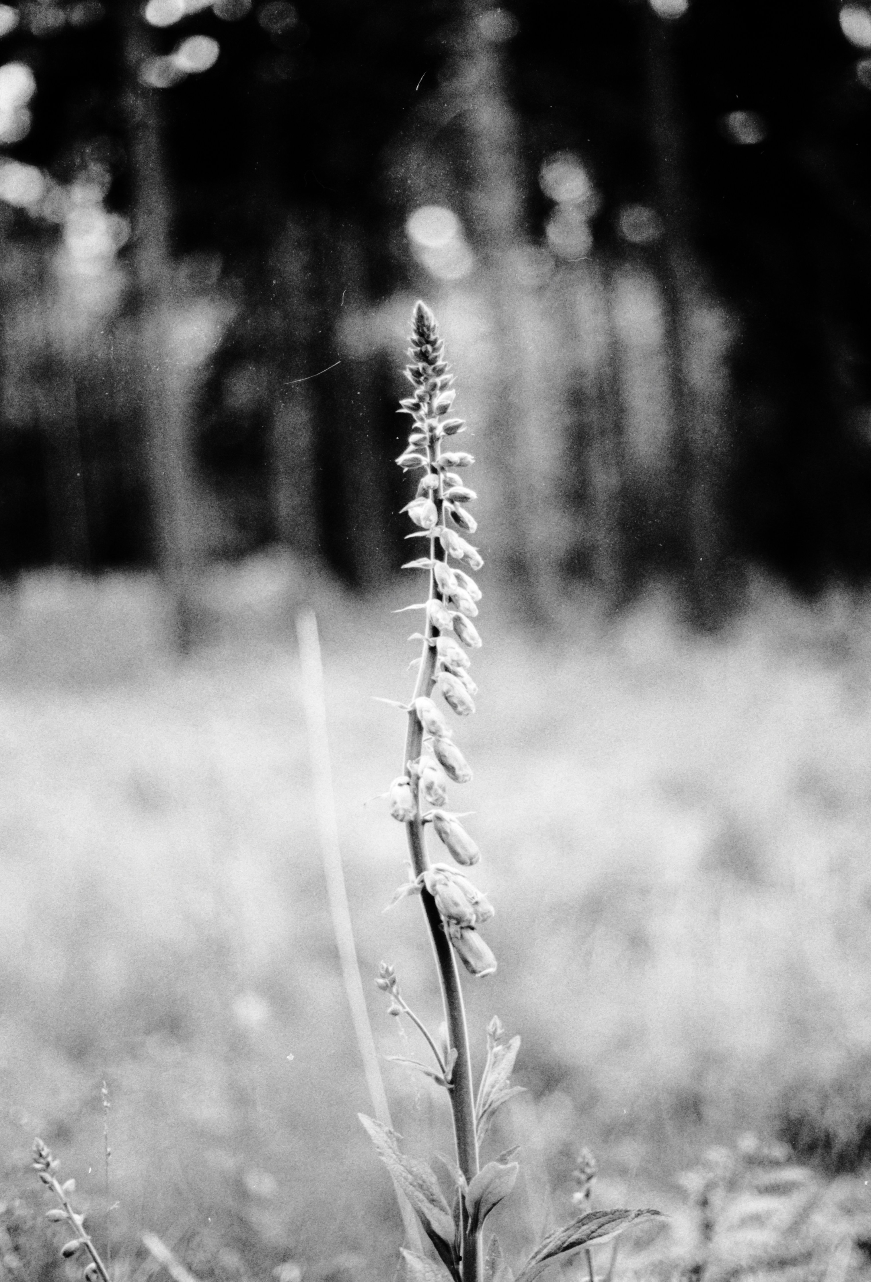 Photo by anniespratt