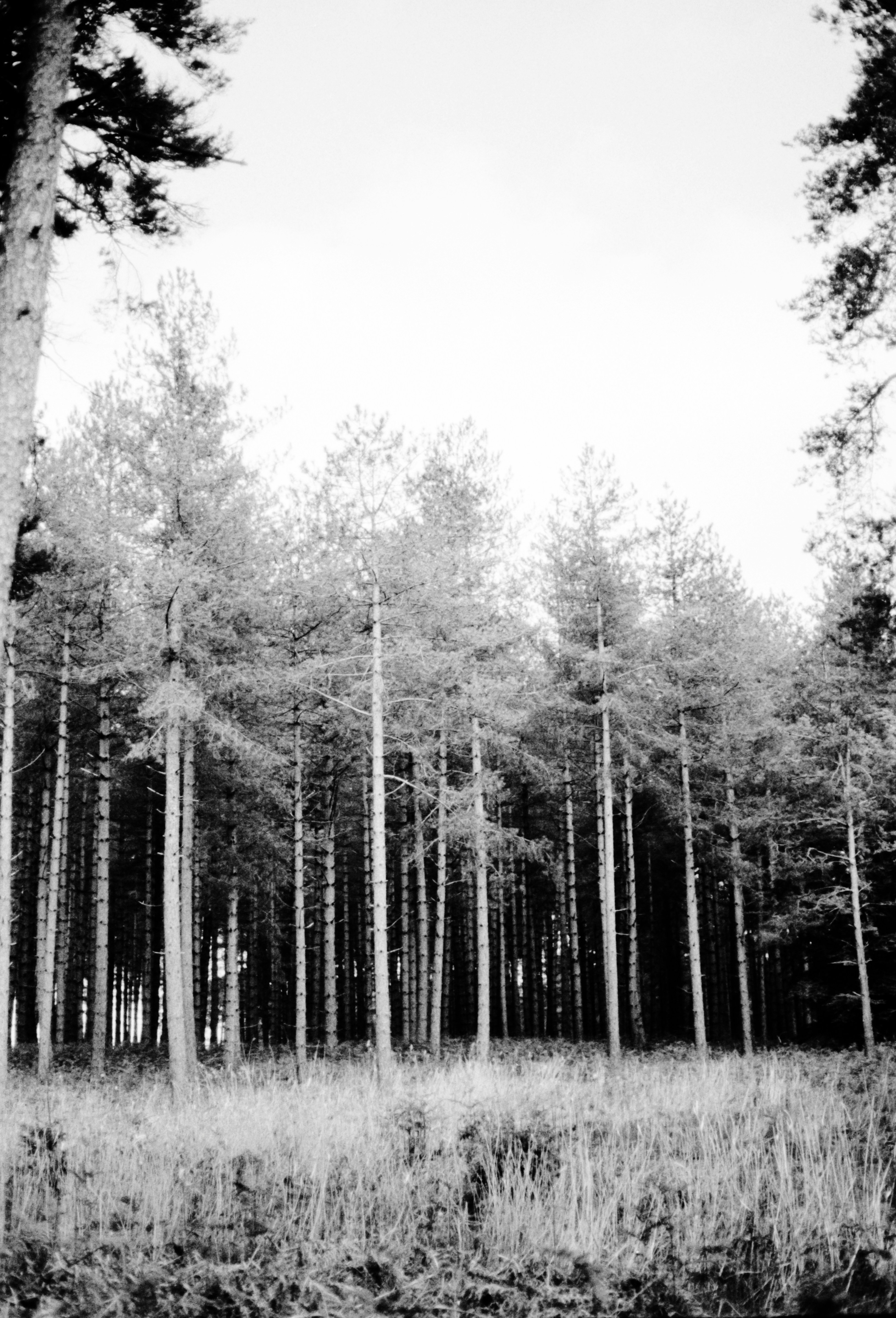 Photo by anniespratt