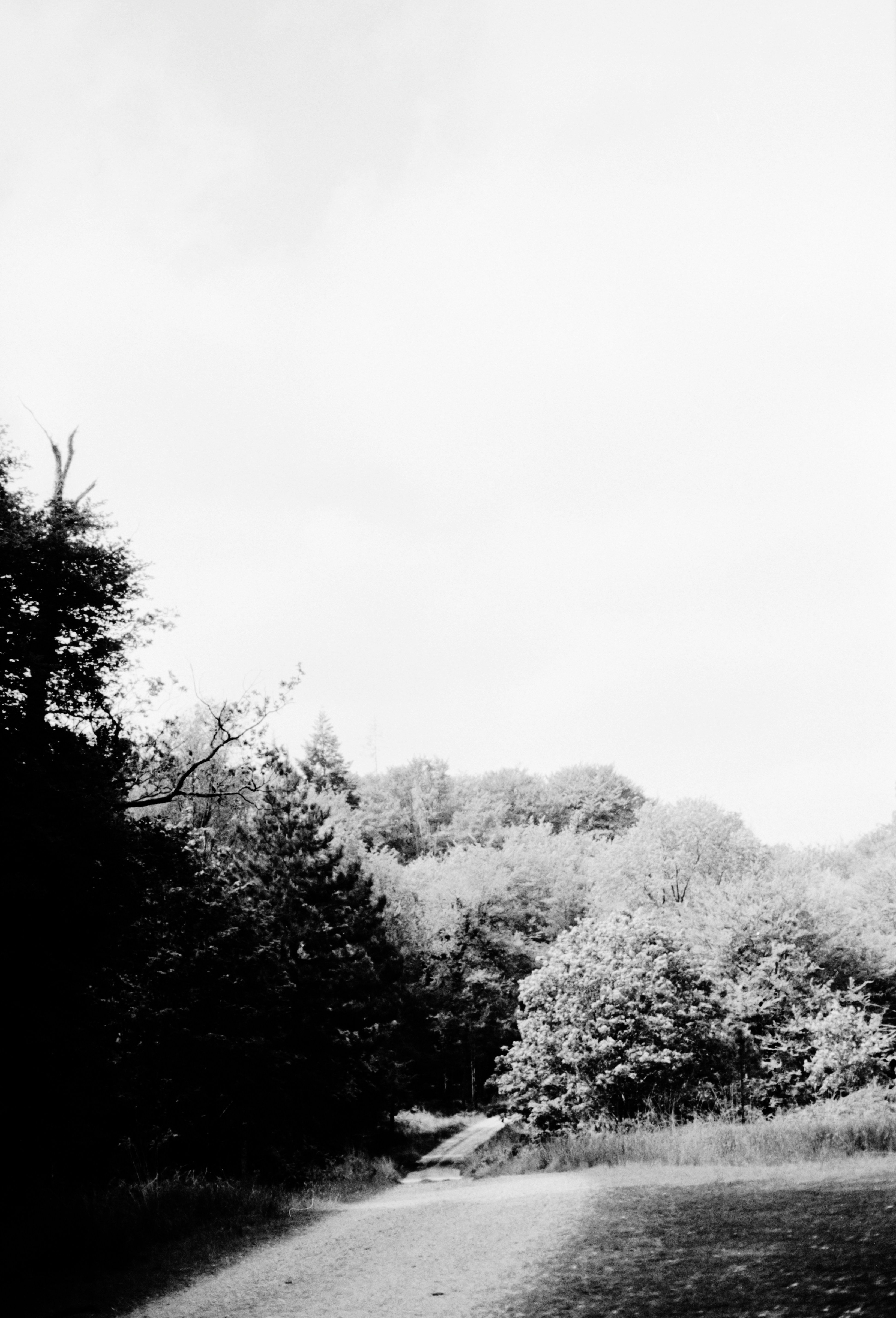 Photo by anniespratt