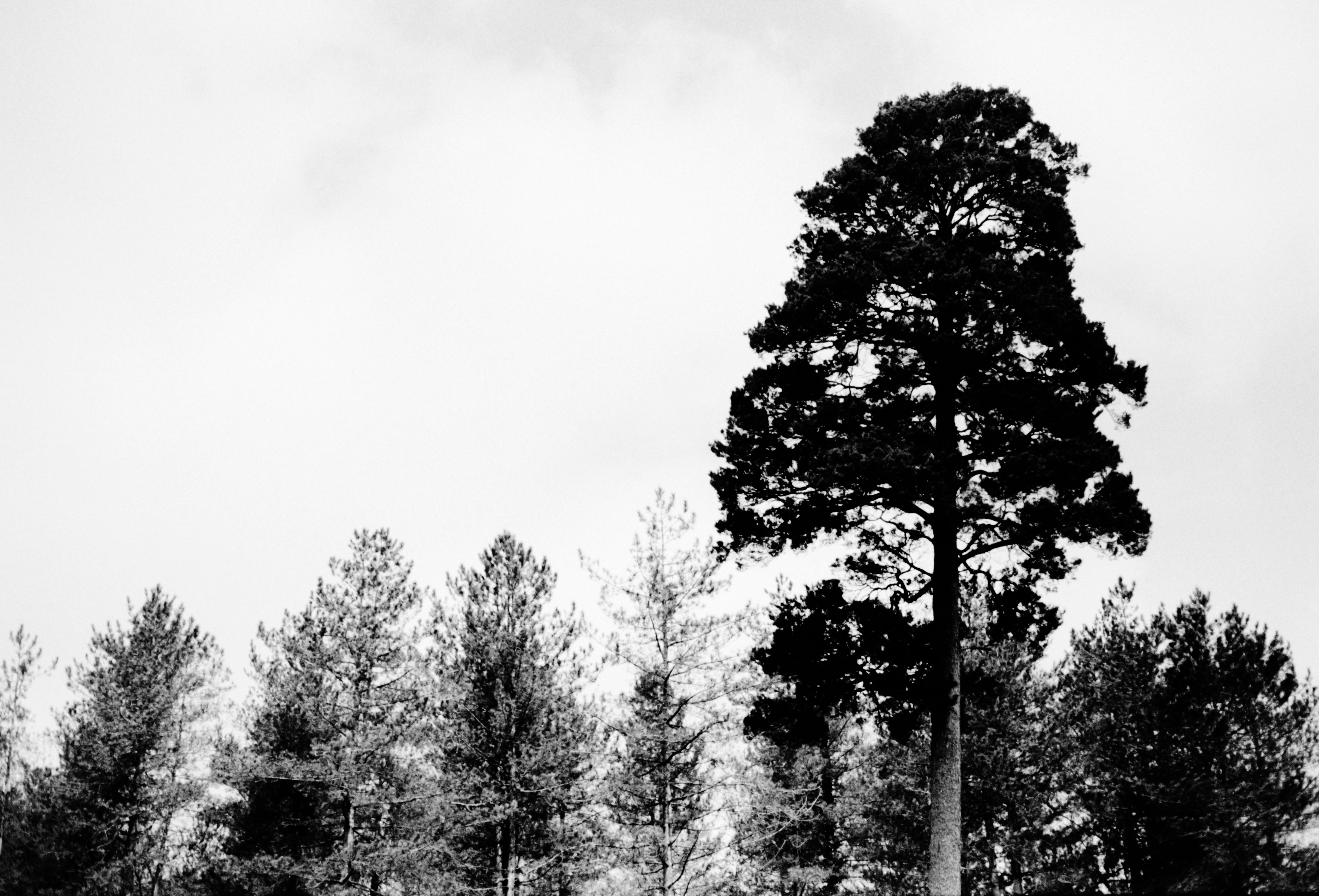 Photo by anniespratt