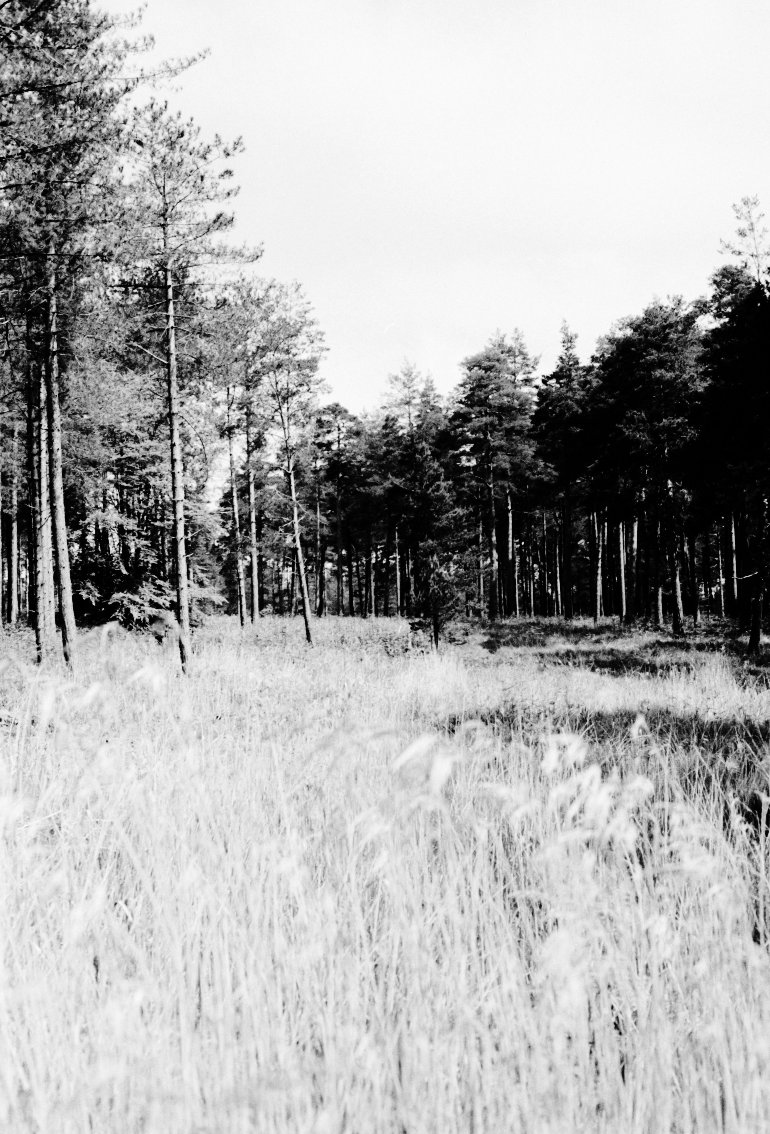 Photo by anniespratt