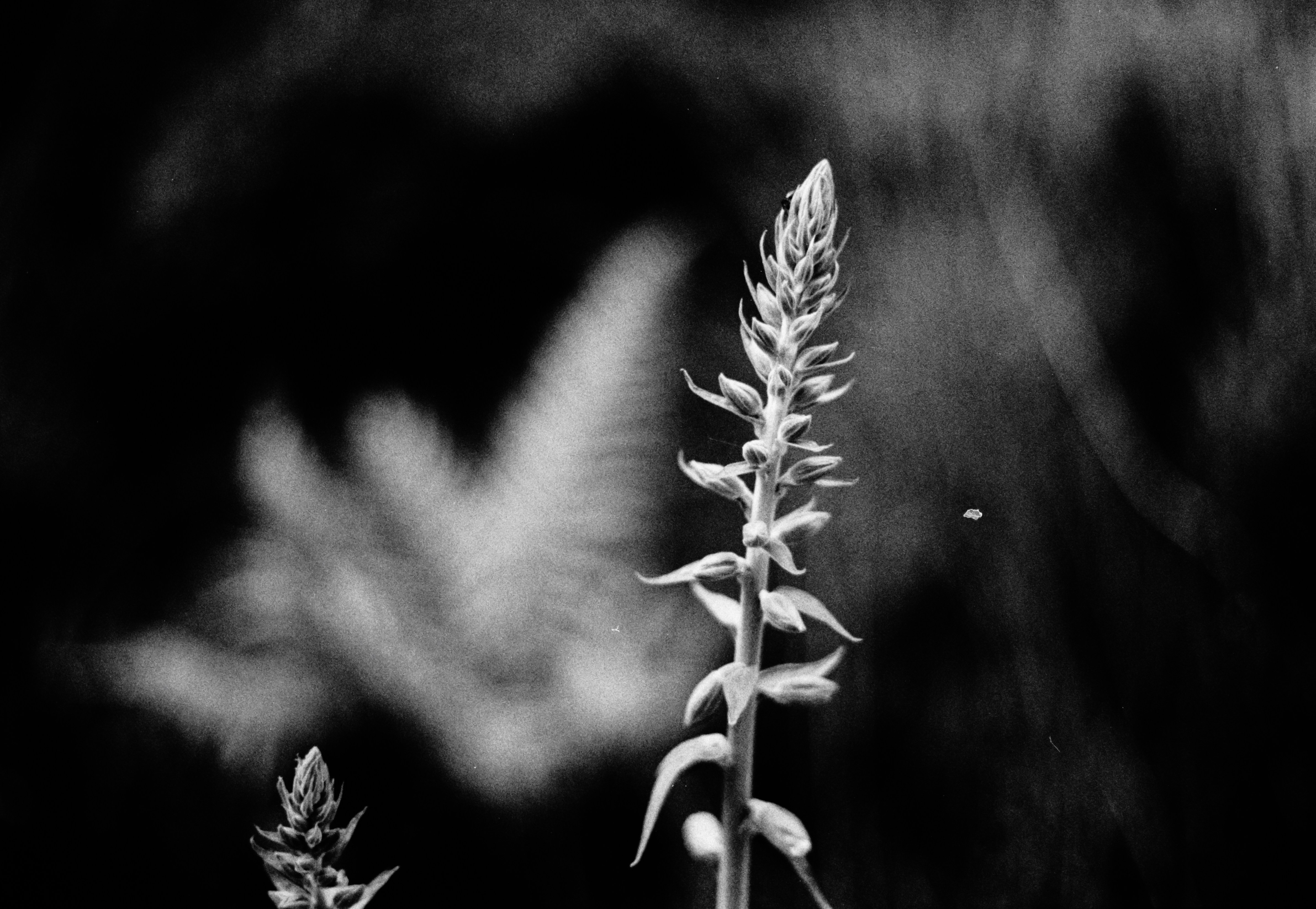 Photo by anniespratt