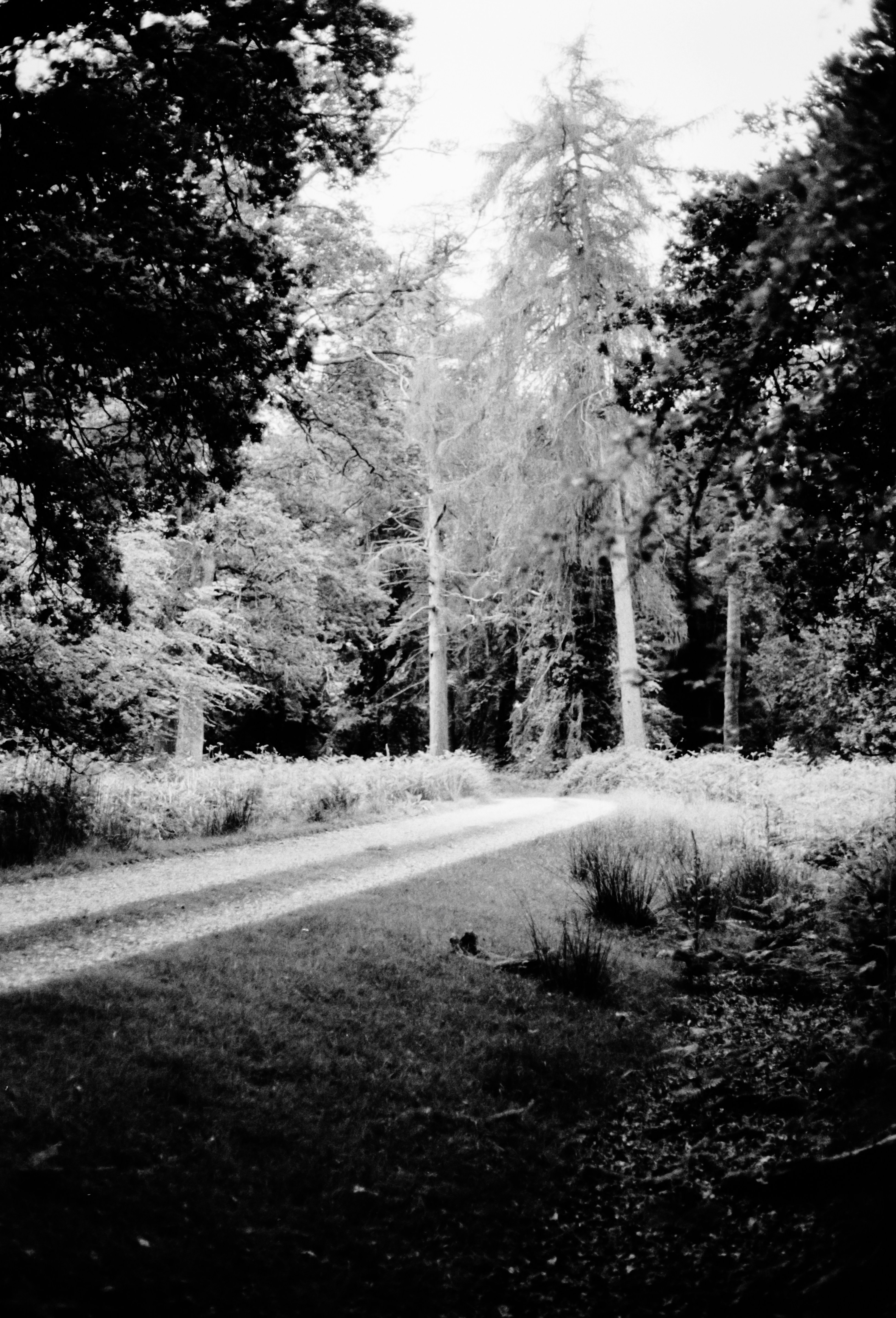 Photo by anniespratt