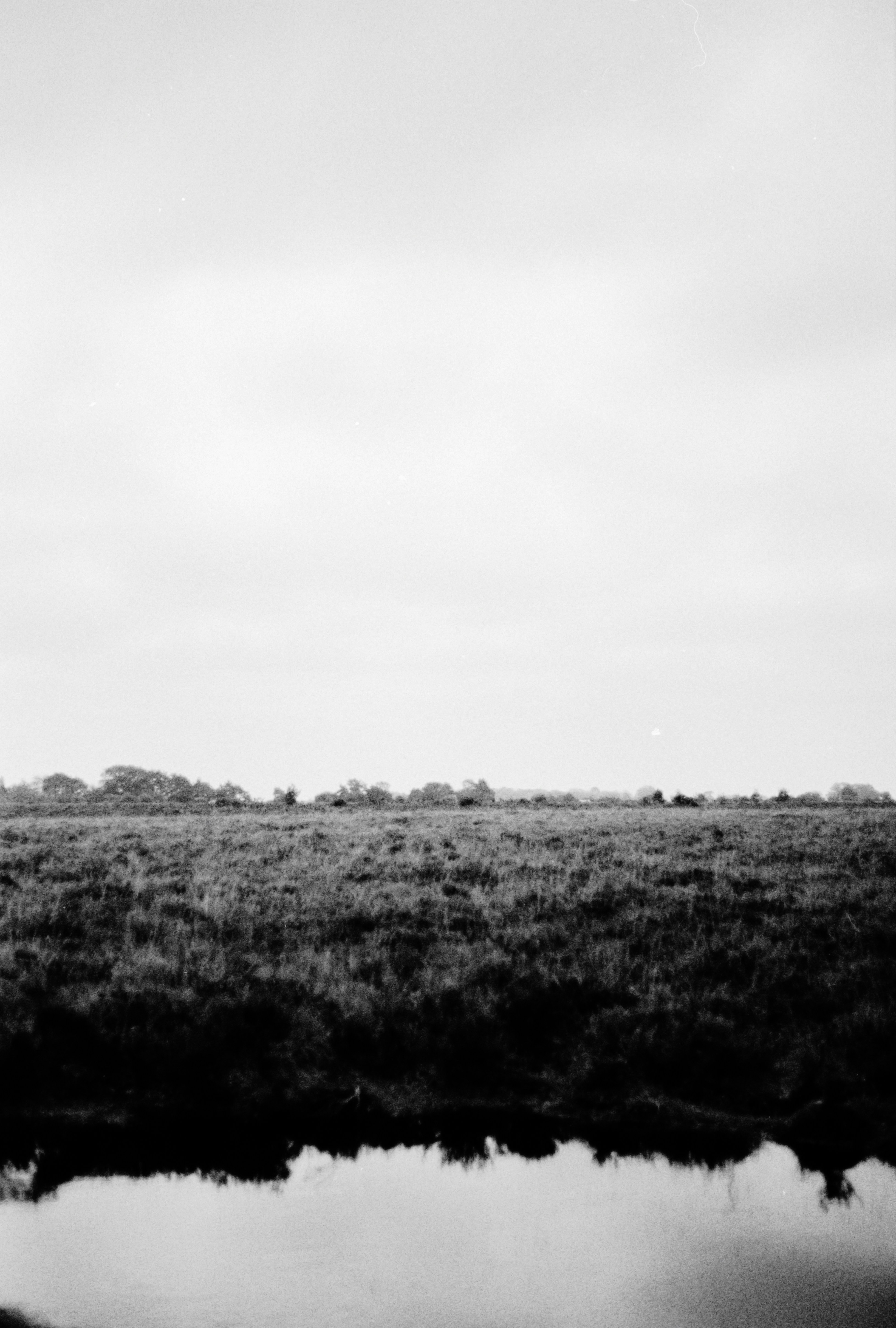 Photo by anniespratt