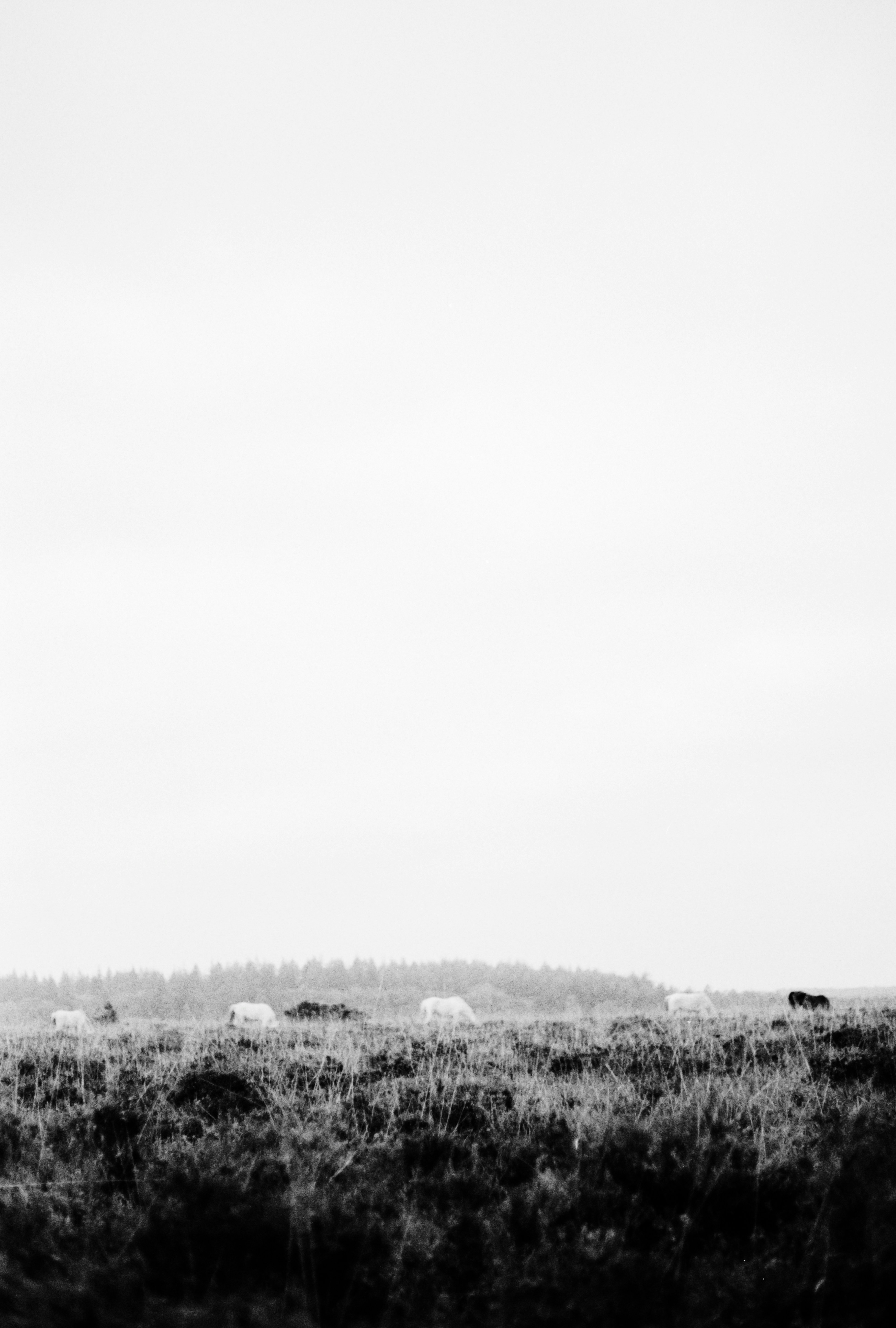 Photo by anniespratt