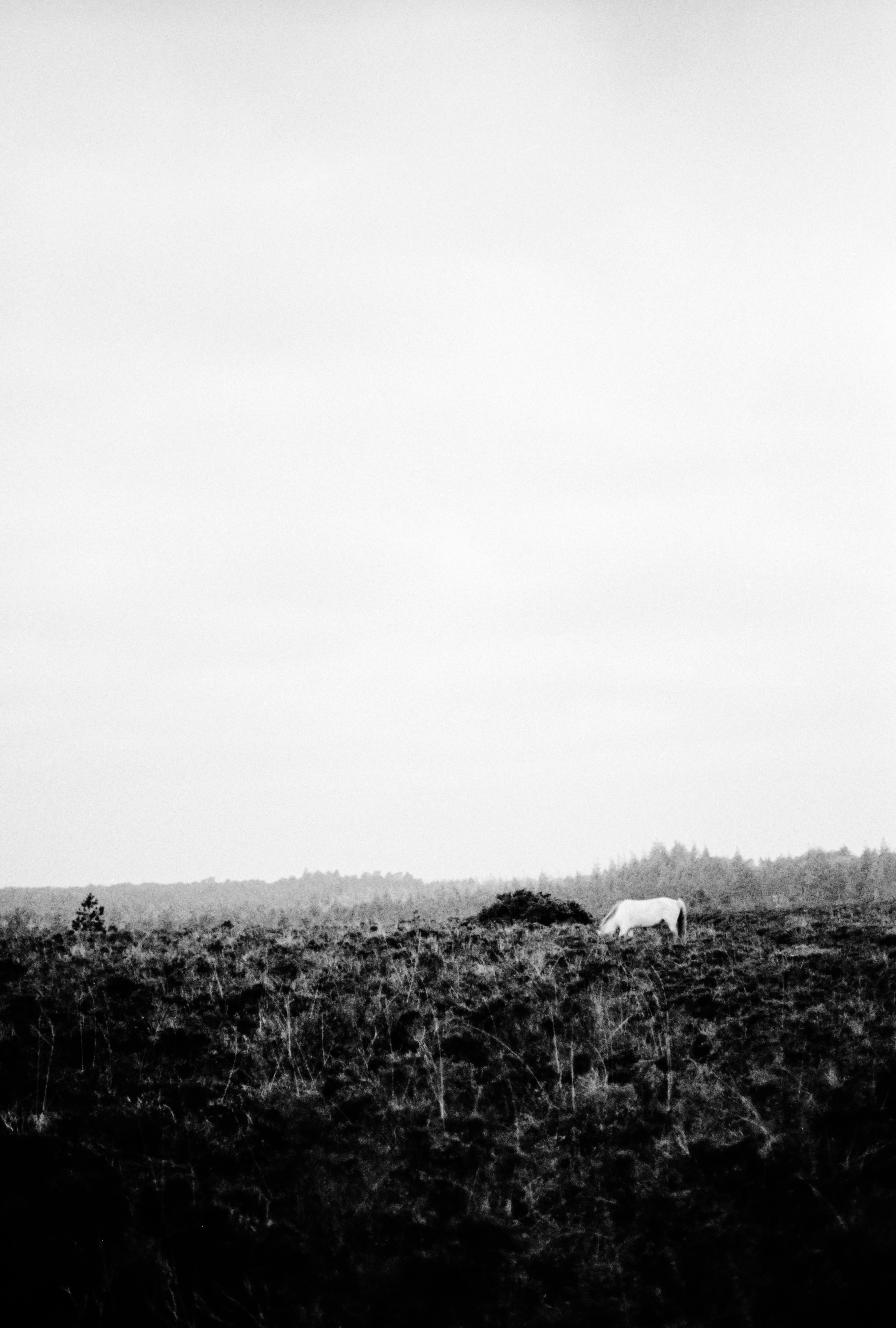 Photo by anniespratt