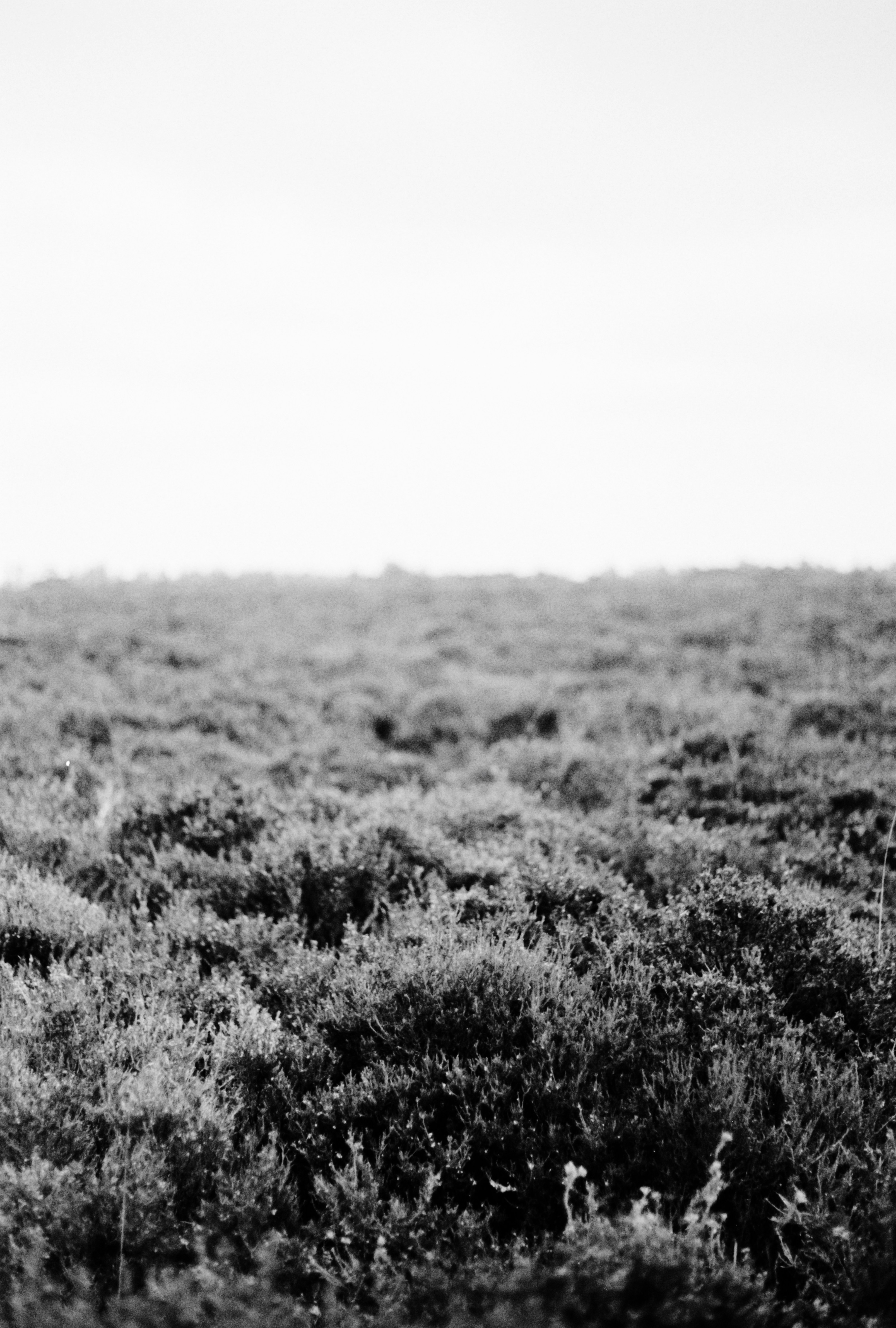 Photo by anniespratt