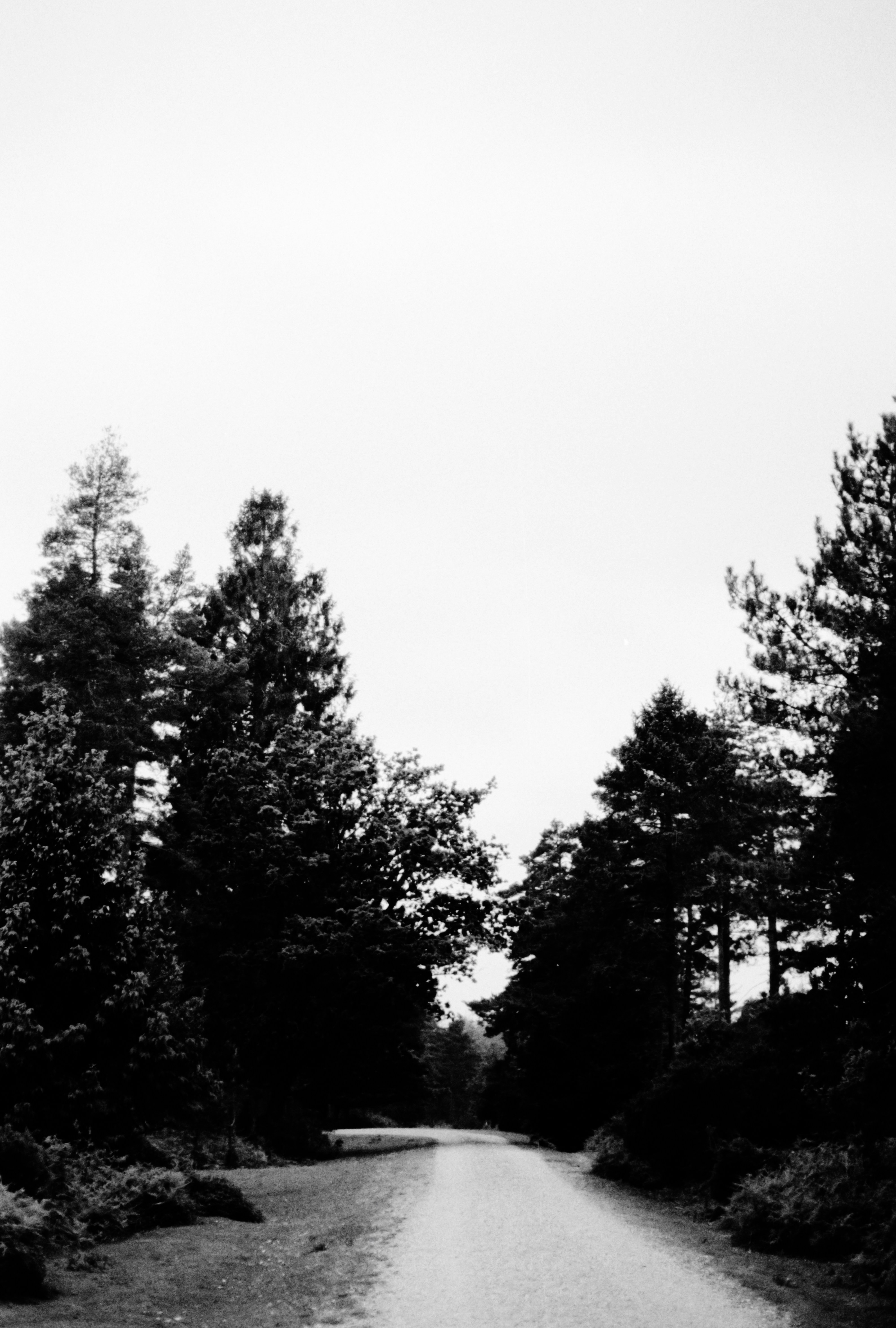 Photo by anniespratt