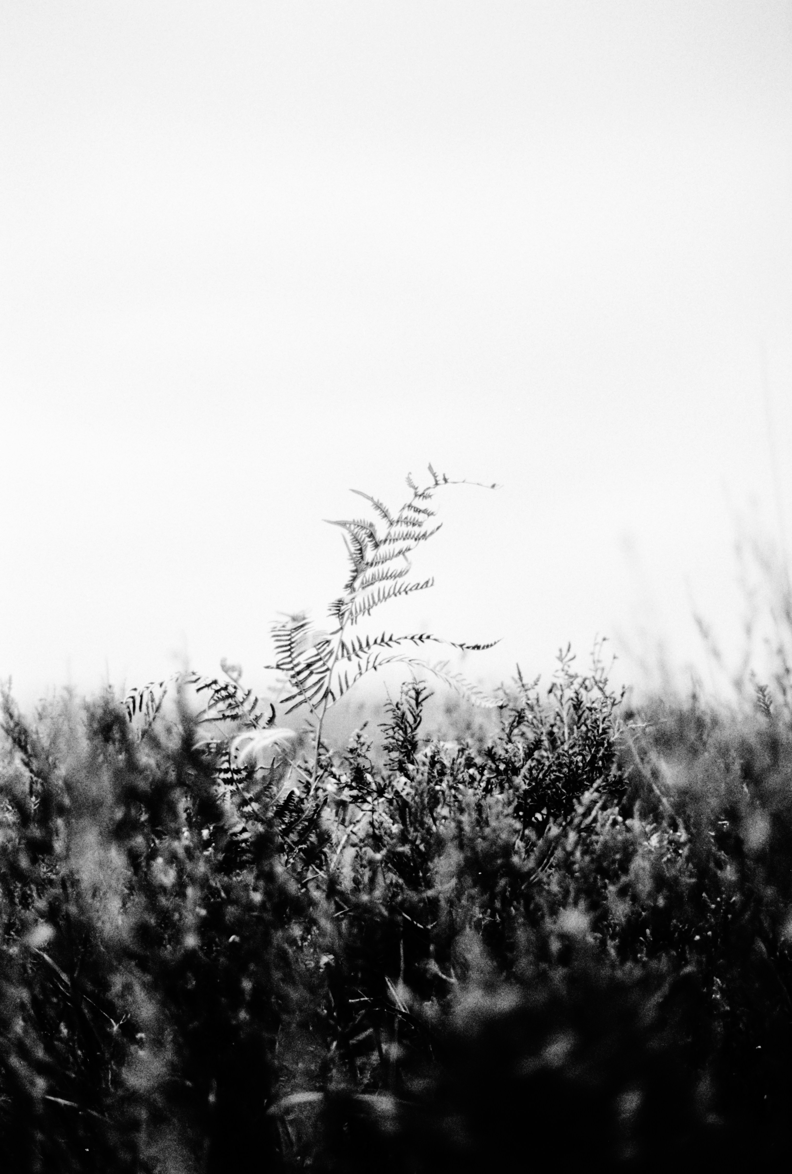 Photo by anniespratt