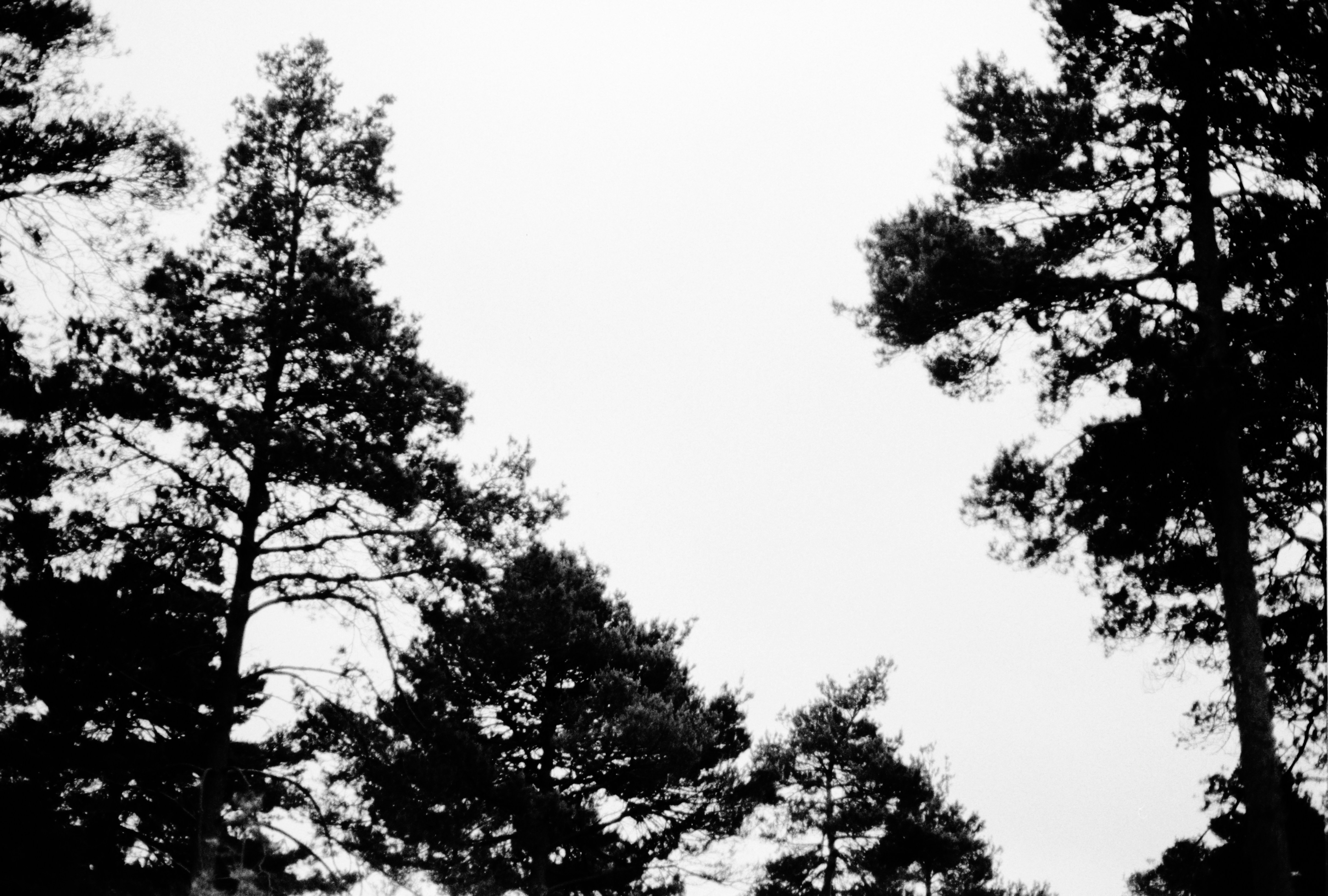 Photo by anniespratt