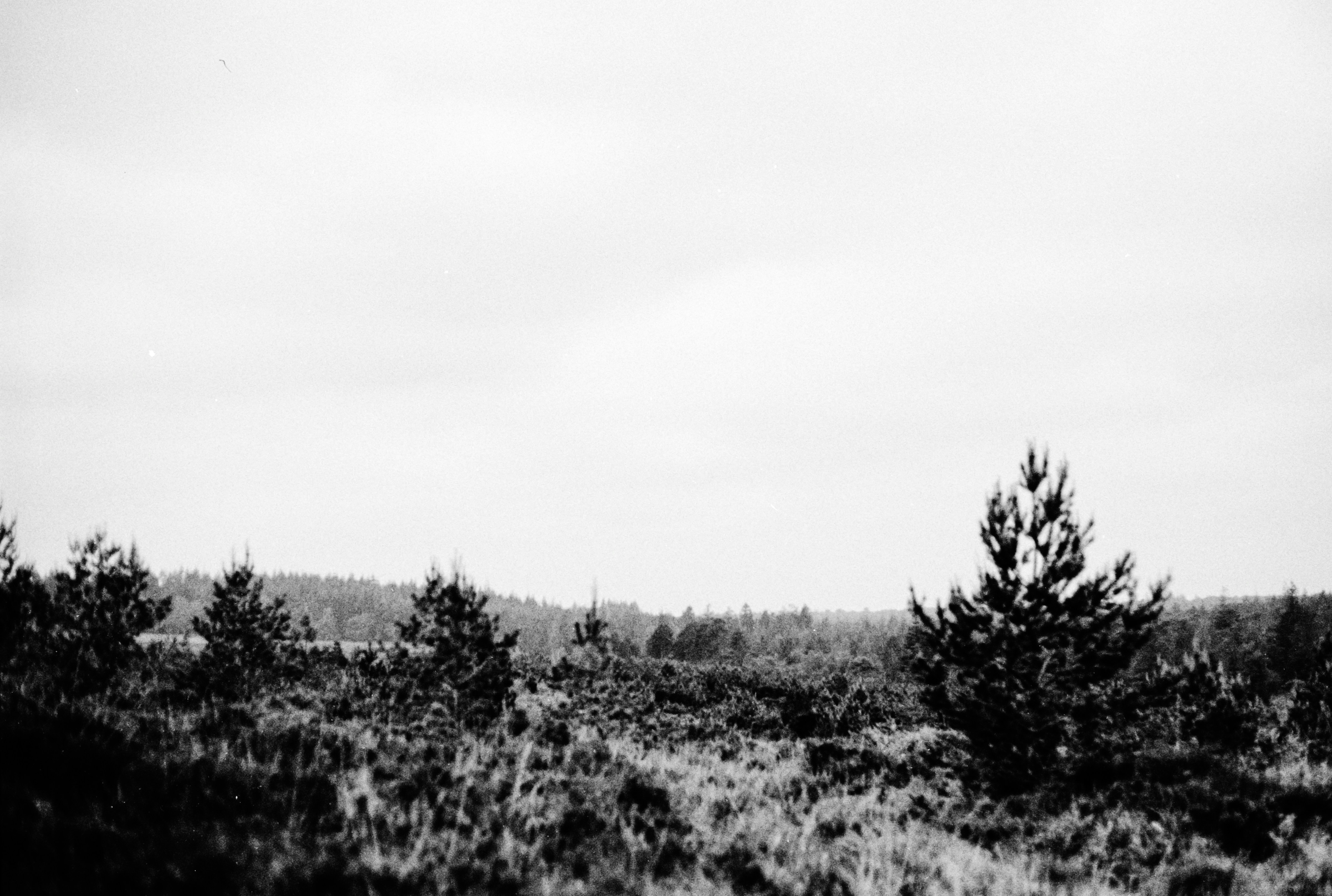 Photo by anniespratt