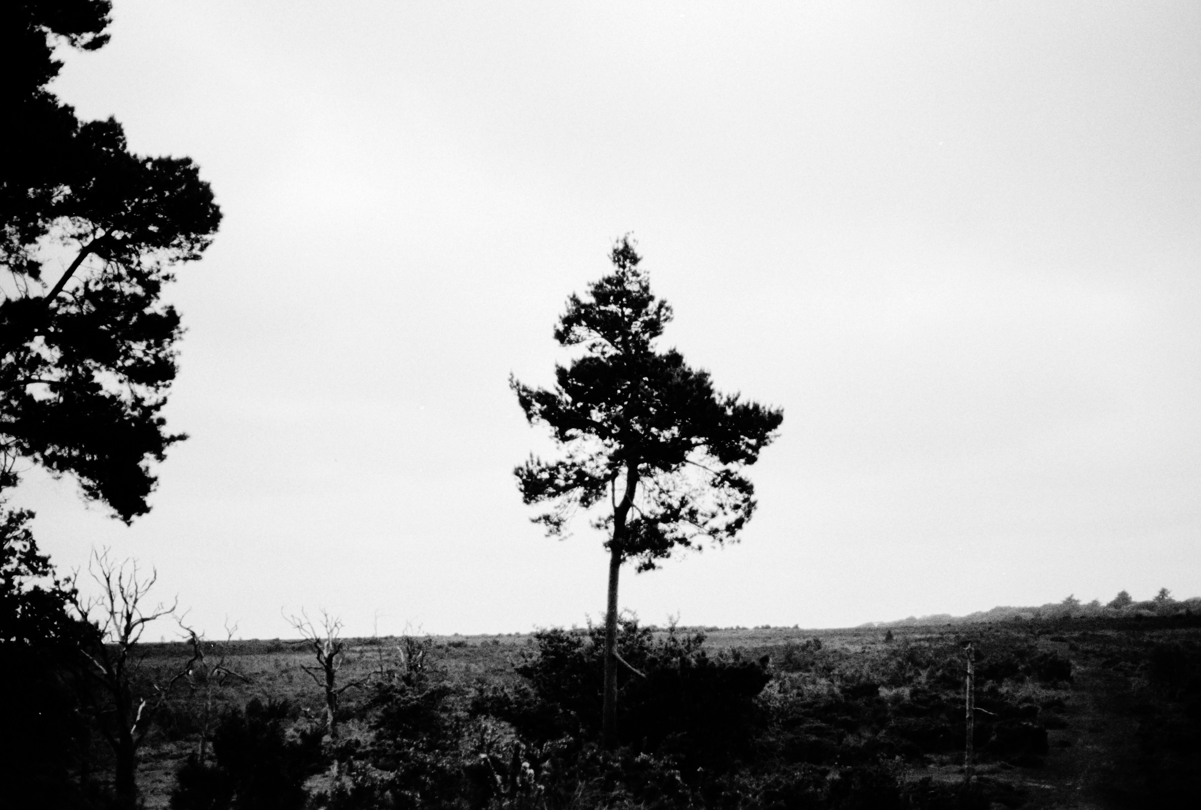 Photo by anniespratt