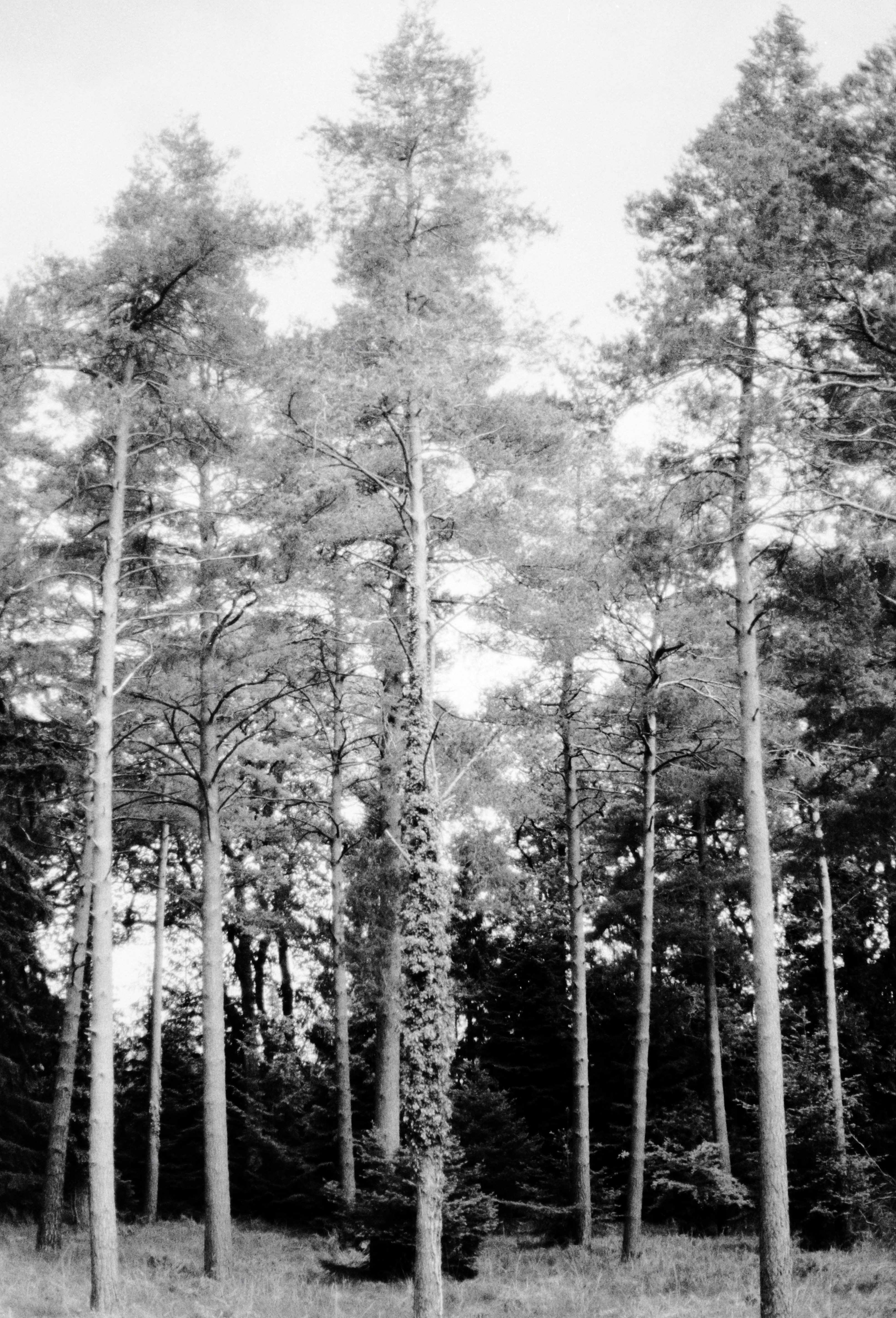 Photo by anniespratt