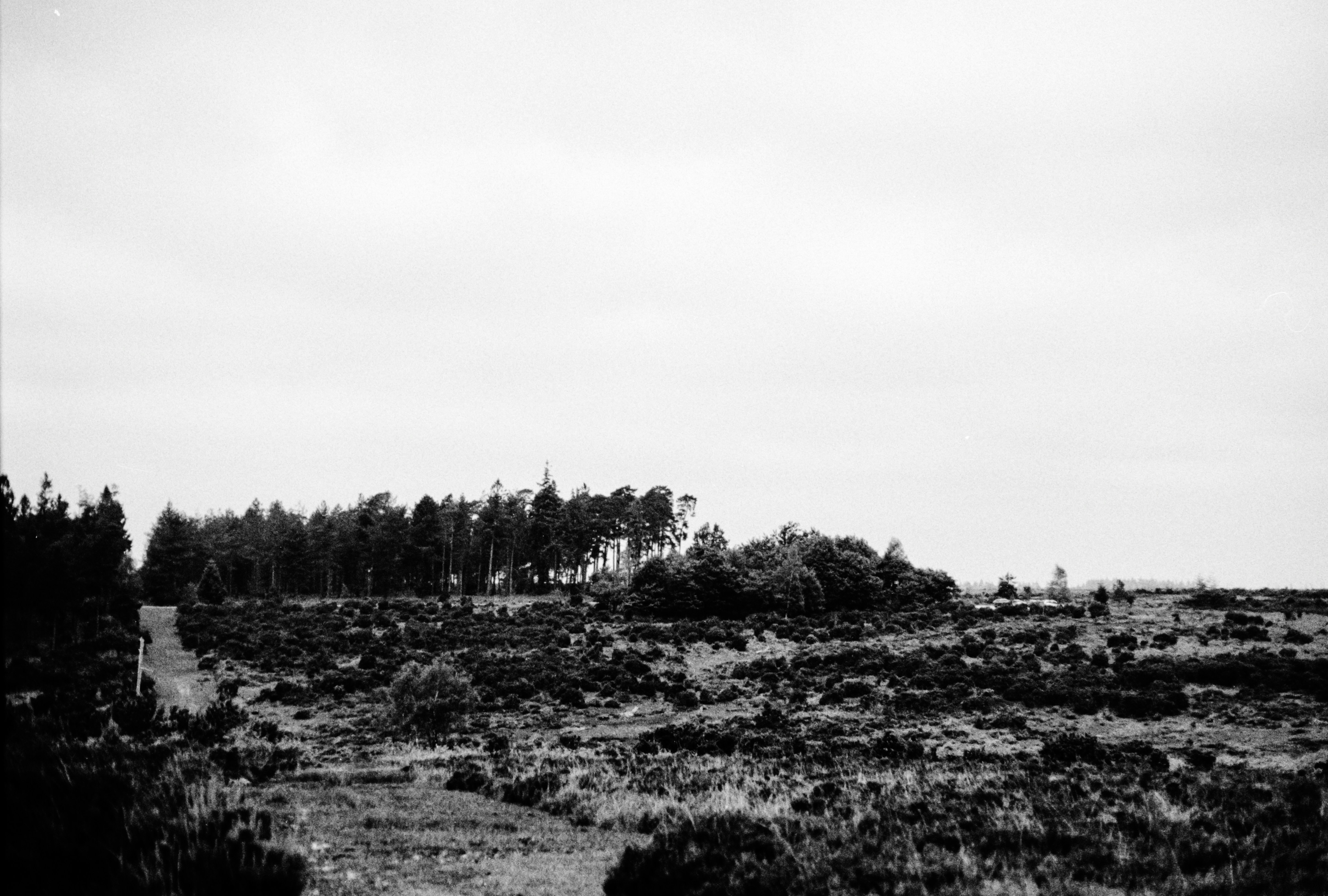 Photo by anniespratt