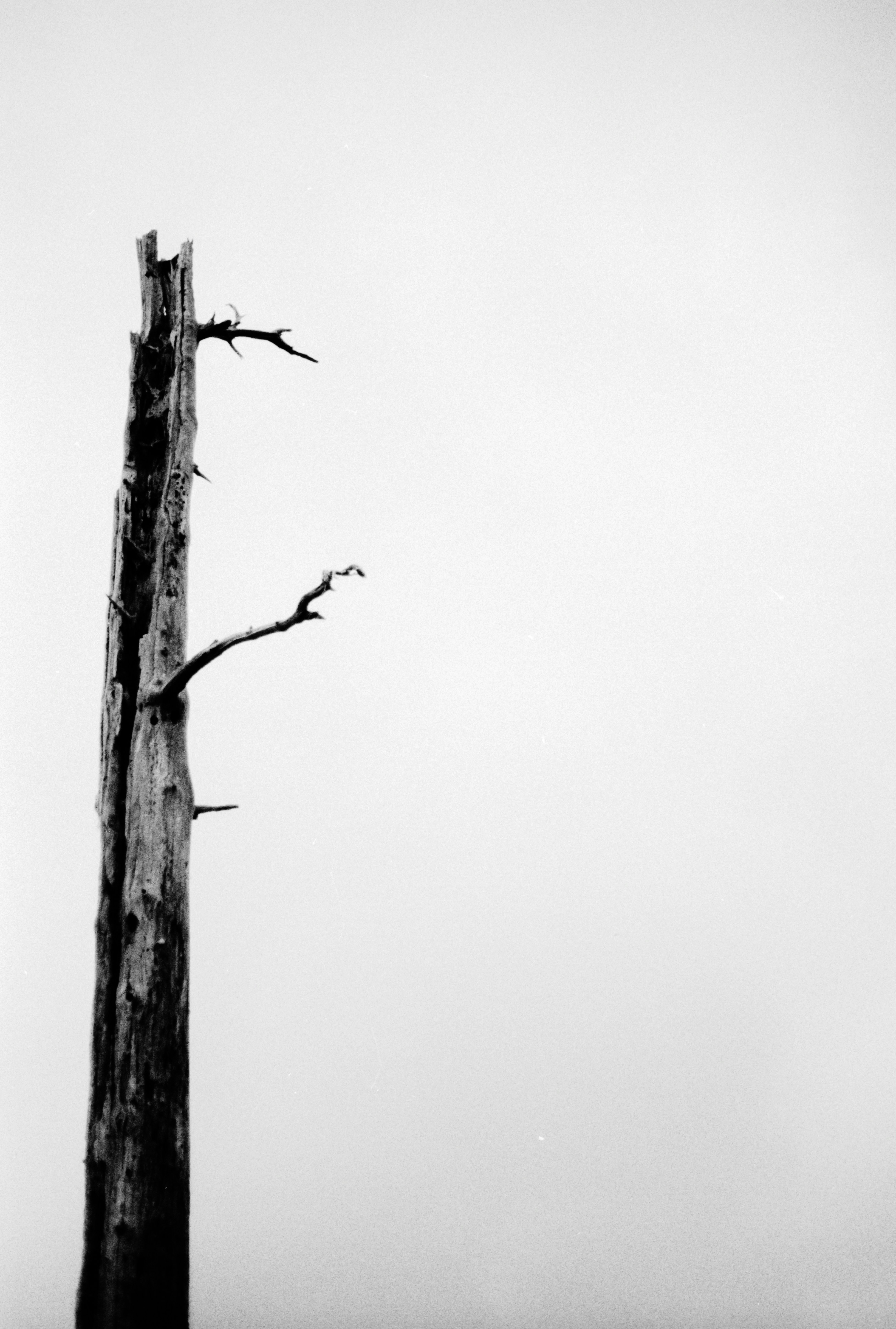 Photo by anniespratt