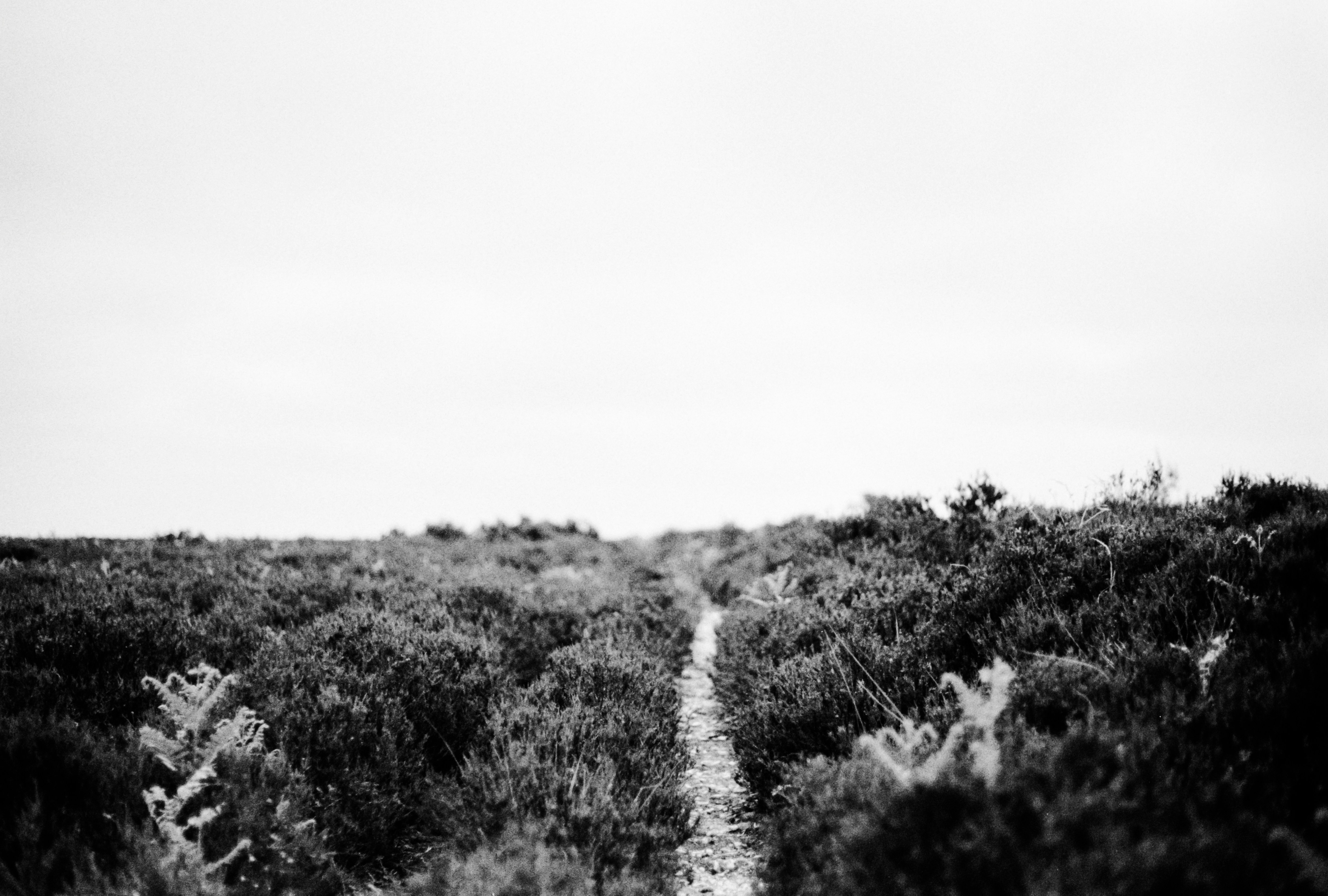 Photo by anniespratt