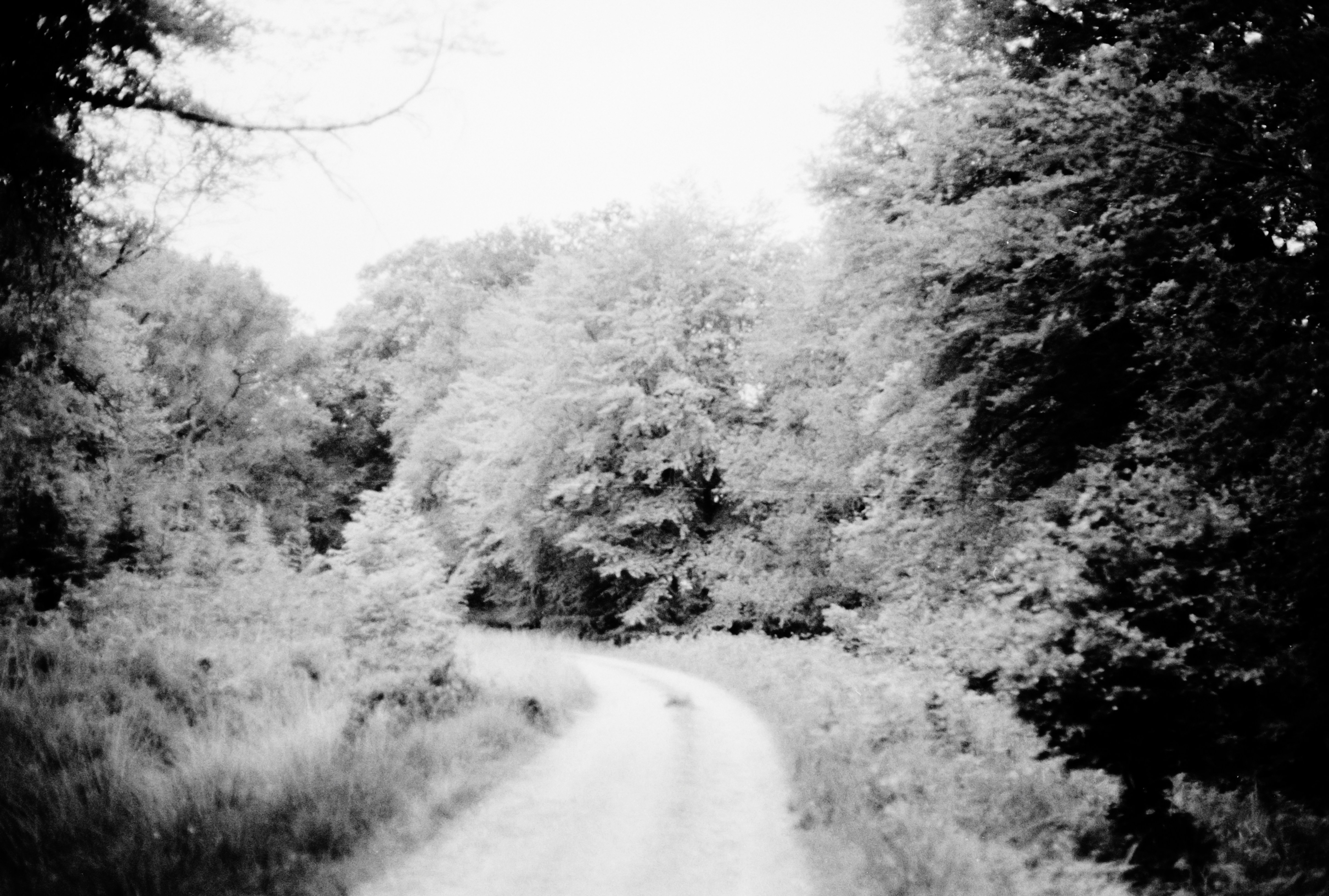 Photo by anniespratt