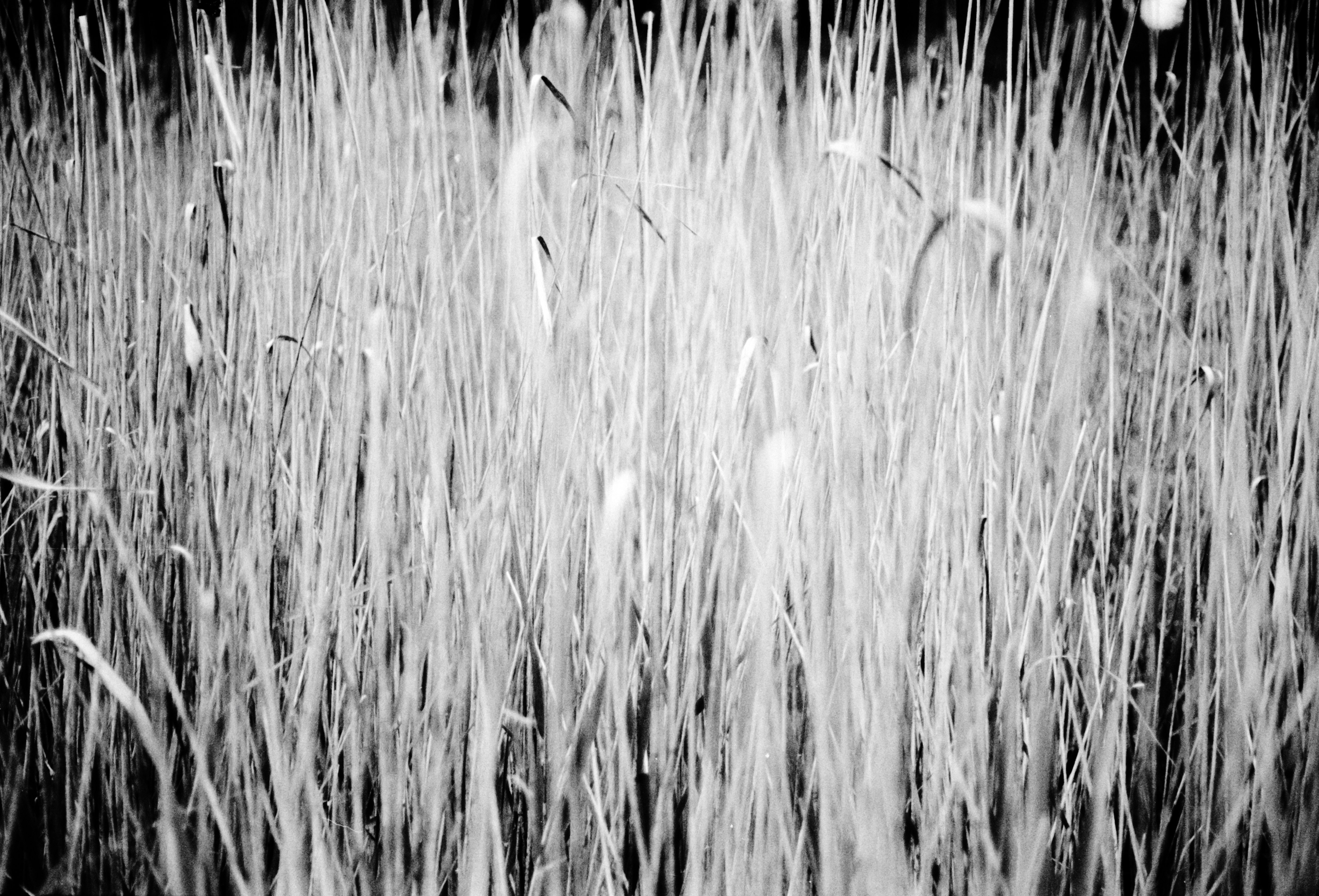 Photo by anniespratt