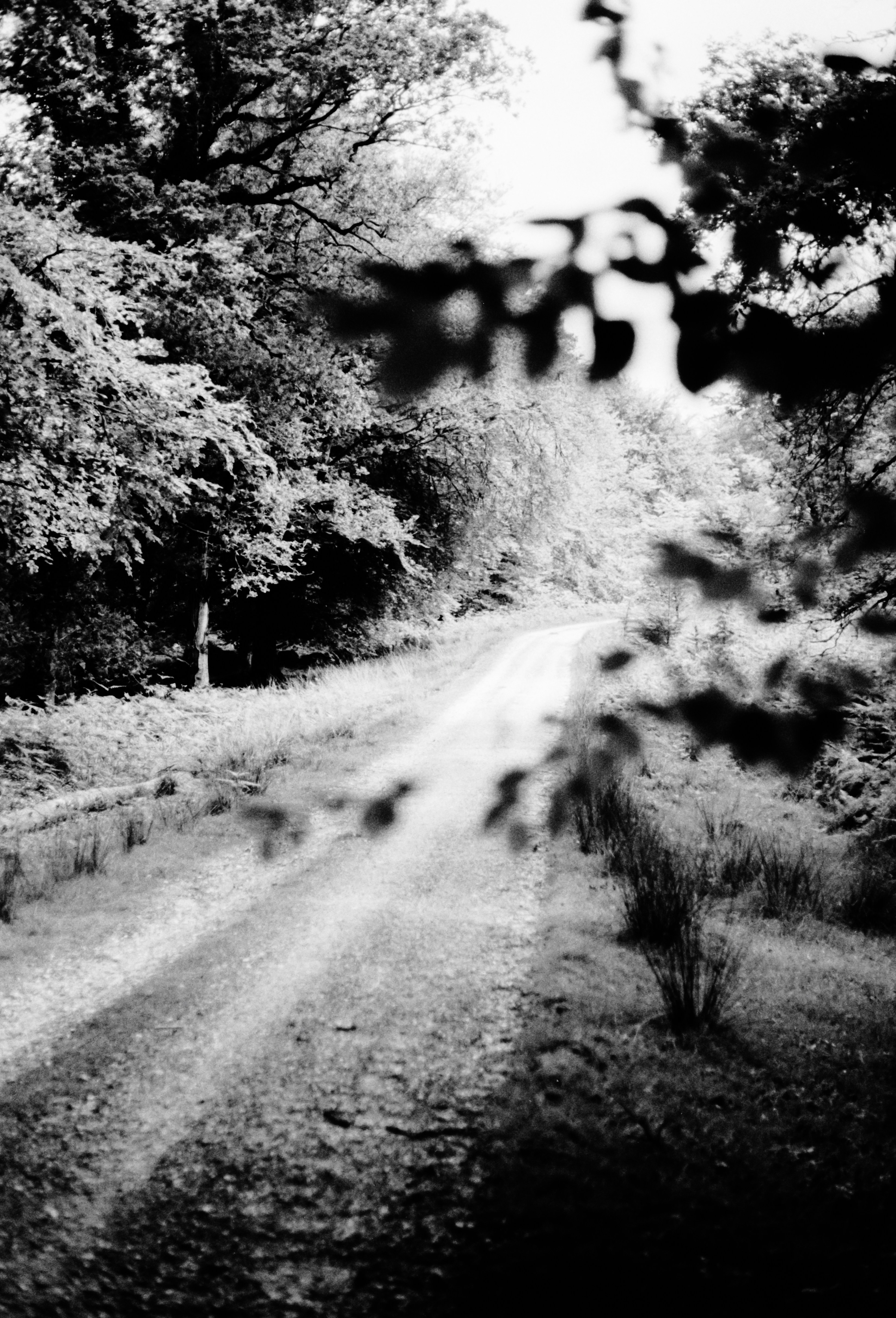 Photo by anniespratt