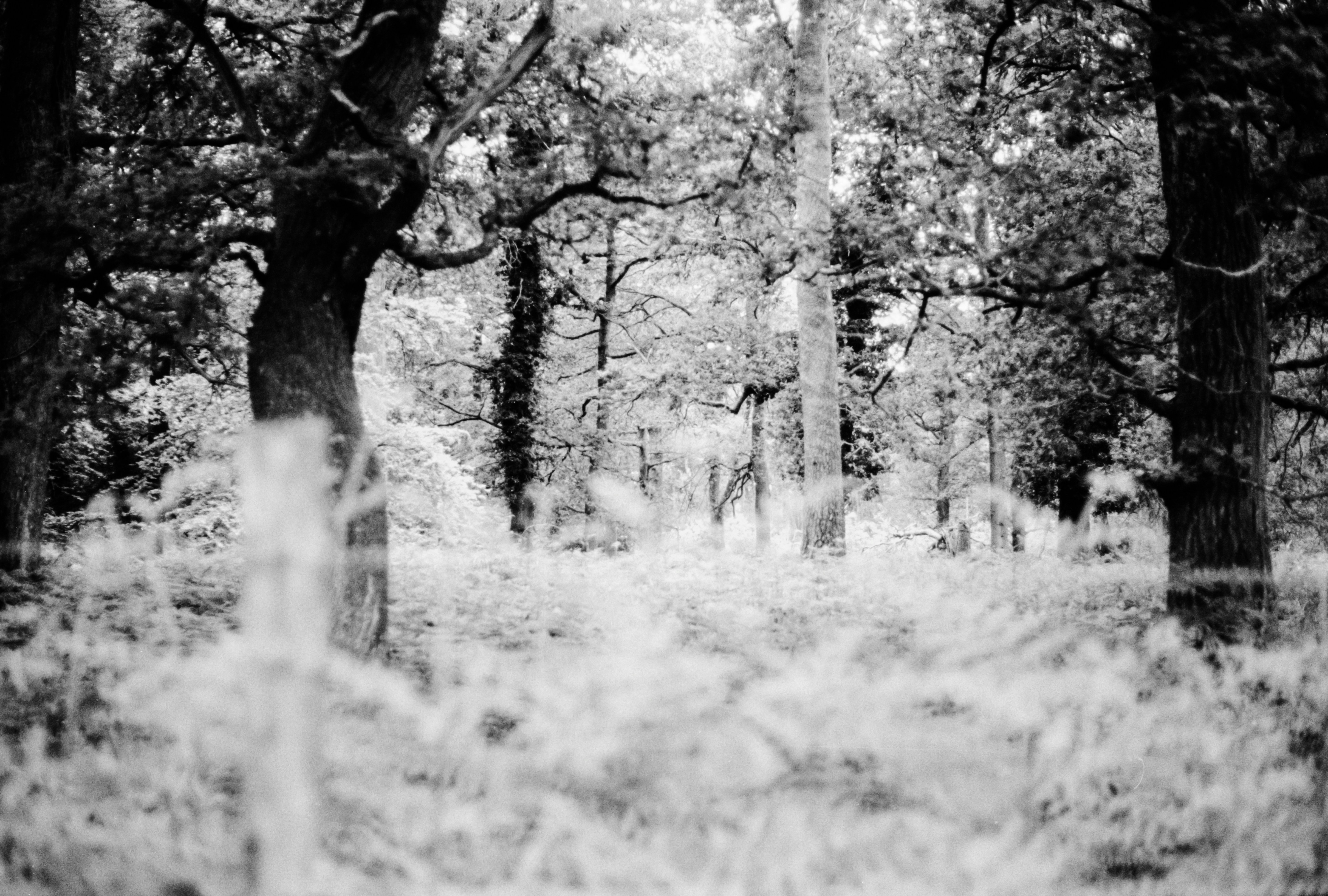 Photo by anniespratt