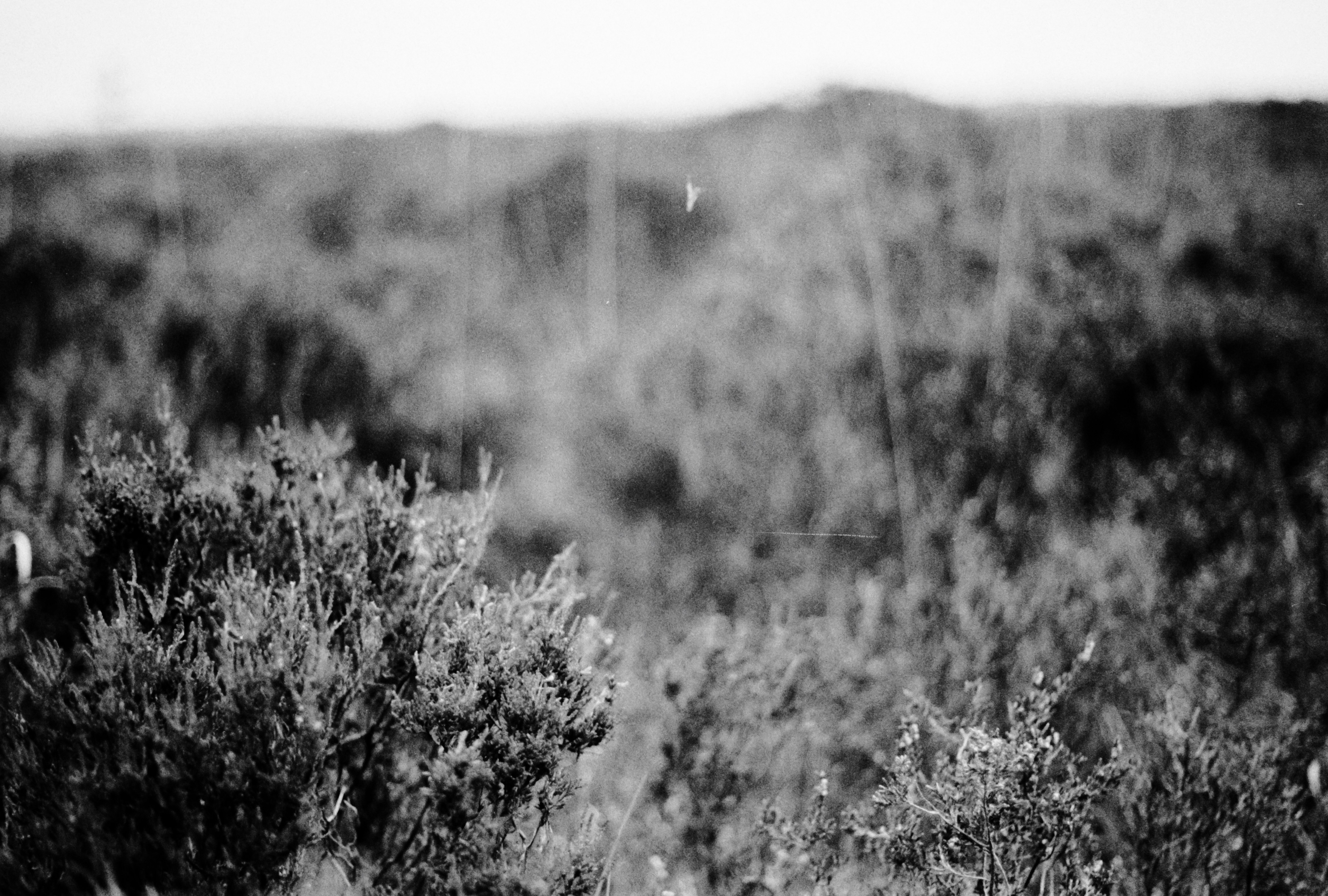 Photo by anniespratt