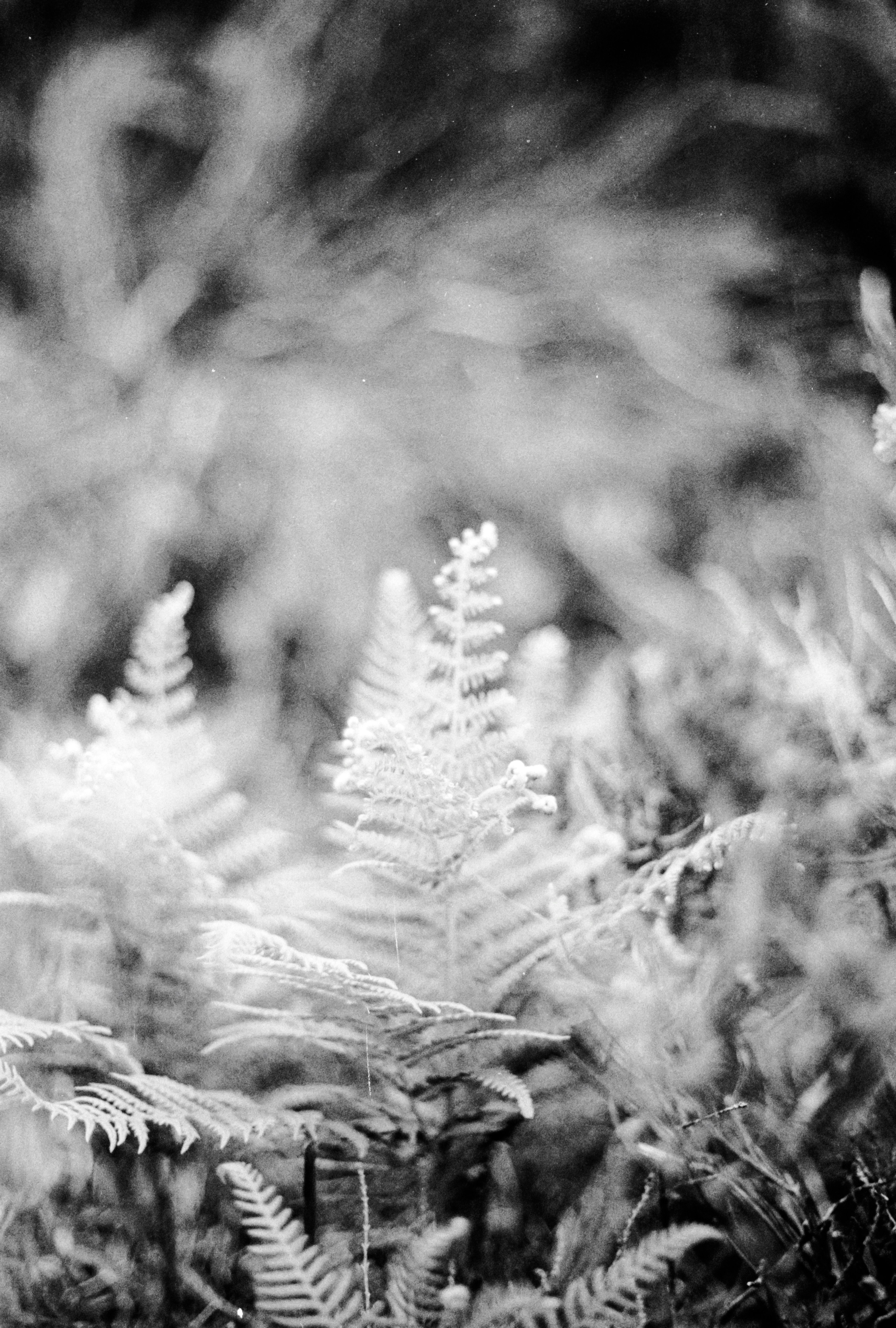 Photo by anniespratt