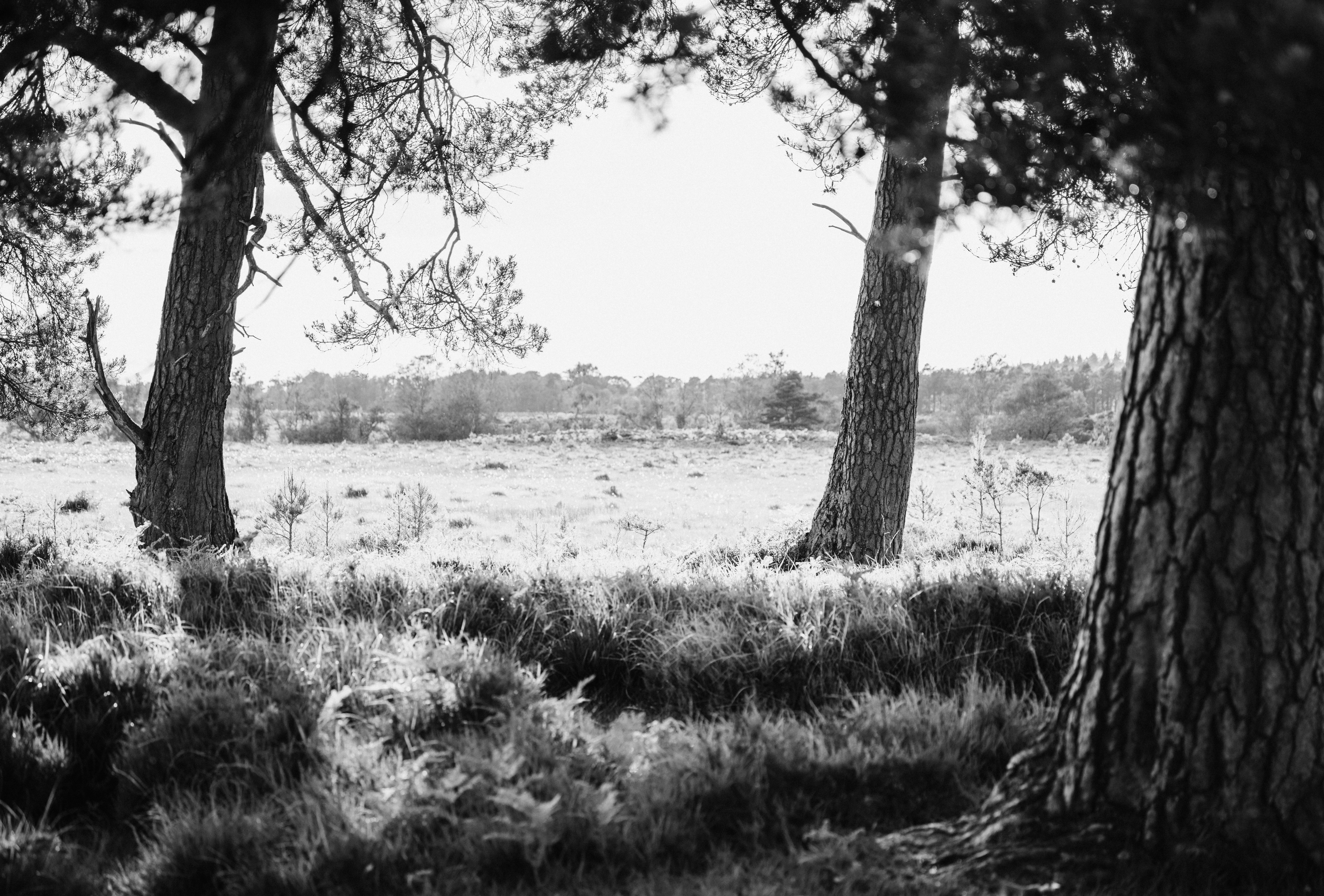 Photo by anniespratt