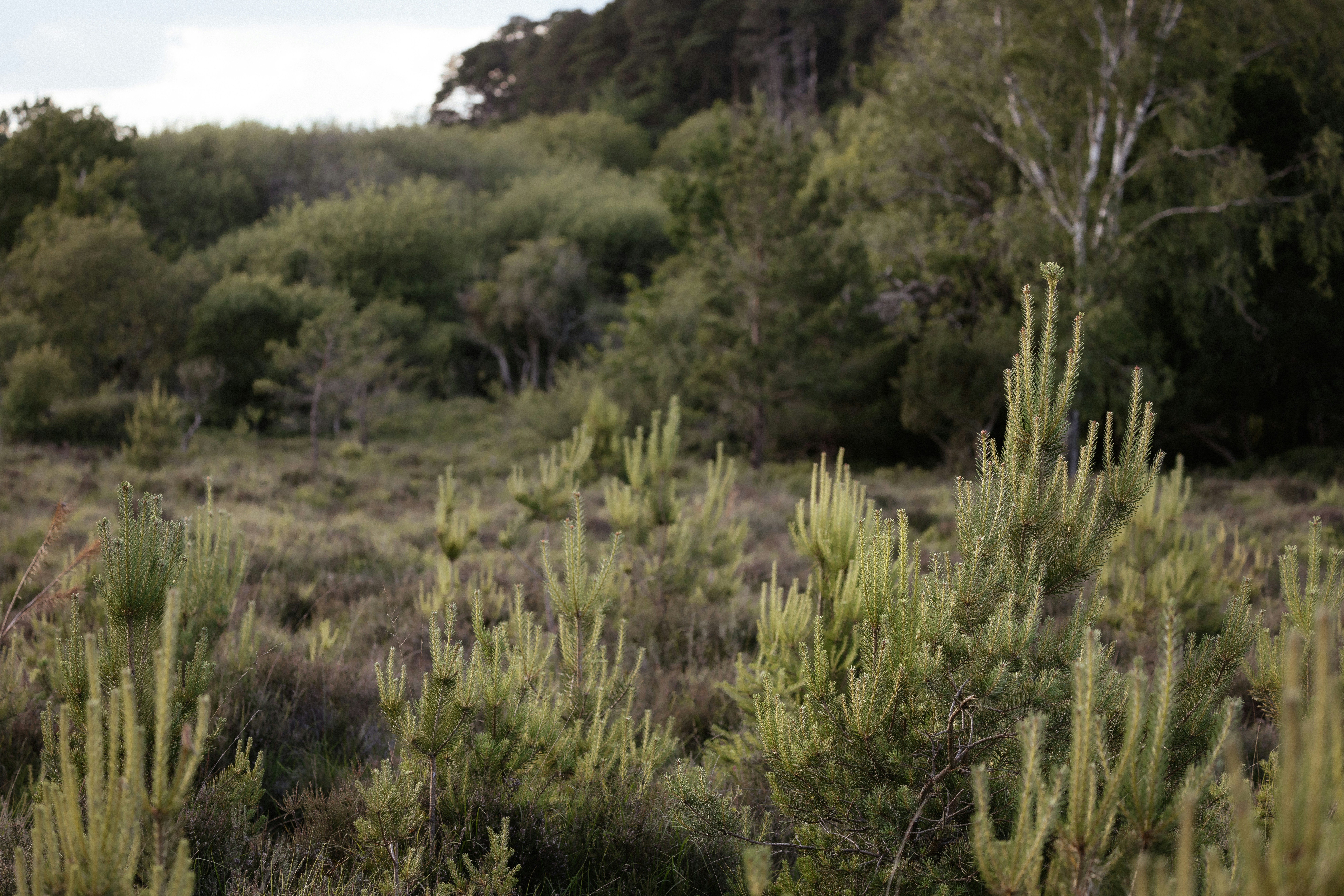 Photo by anniespratt