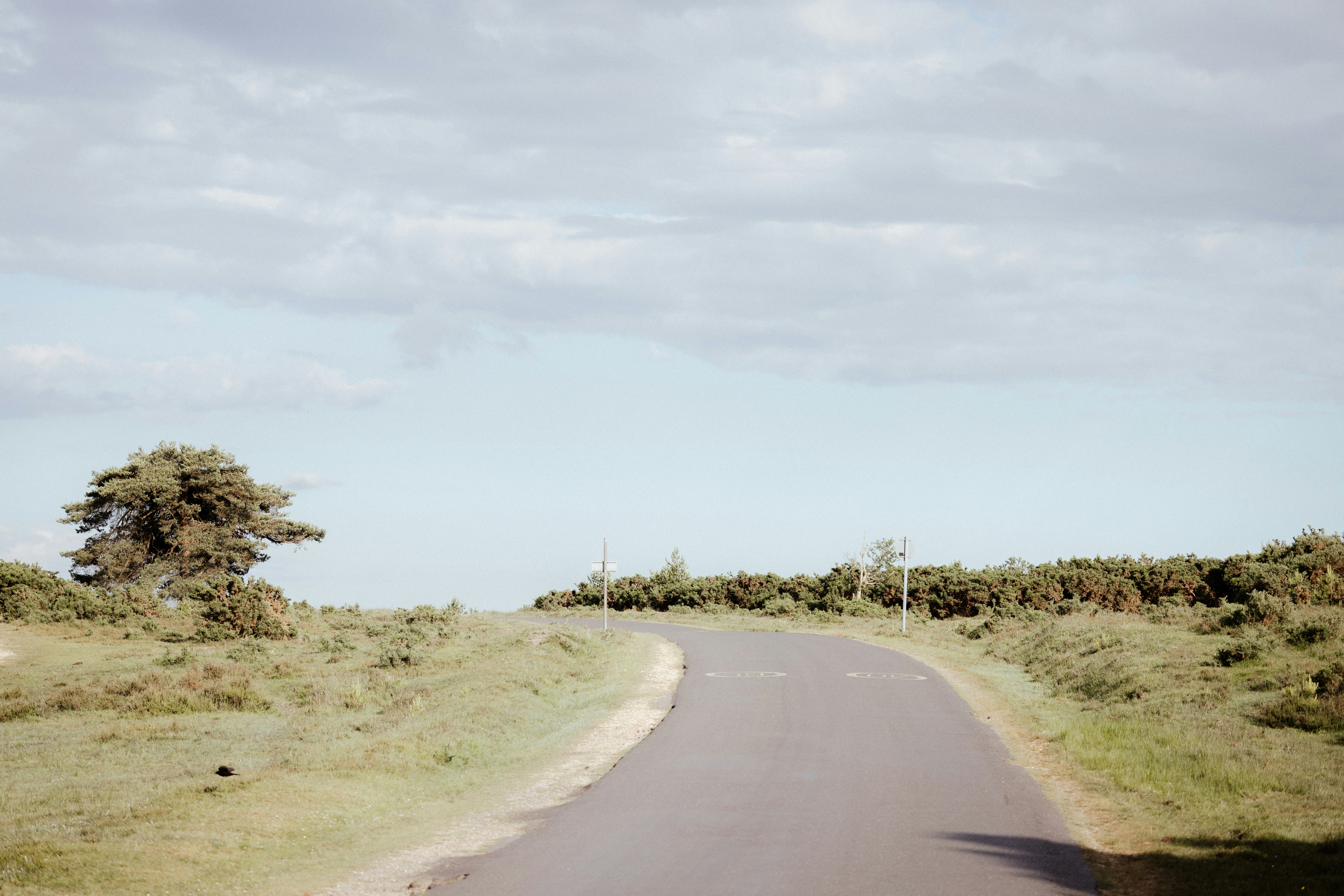 Photo by anniespratt