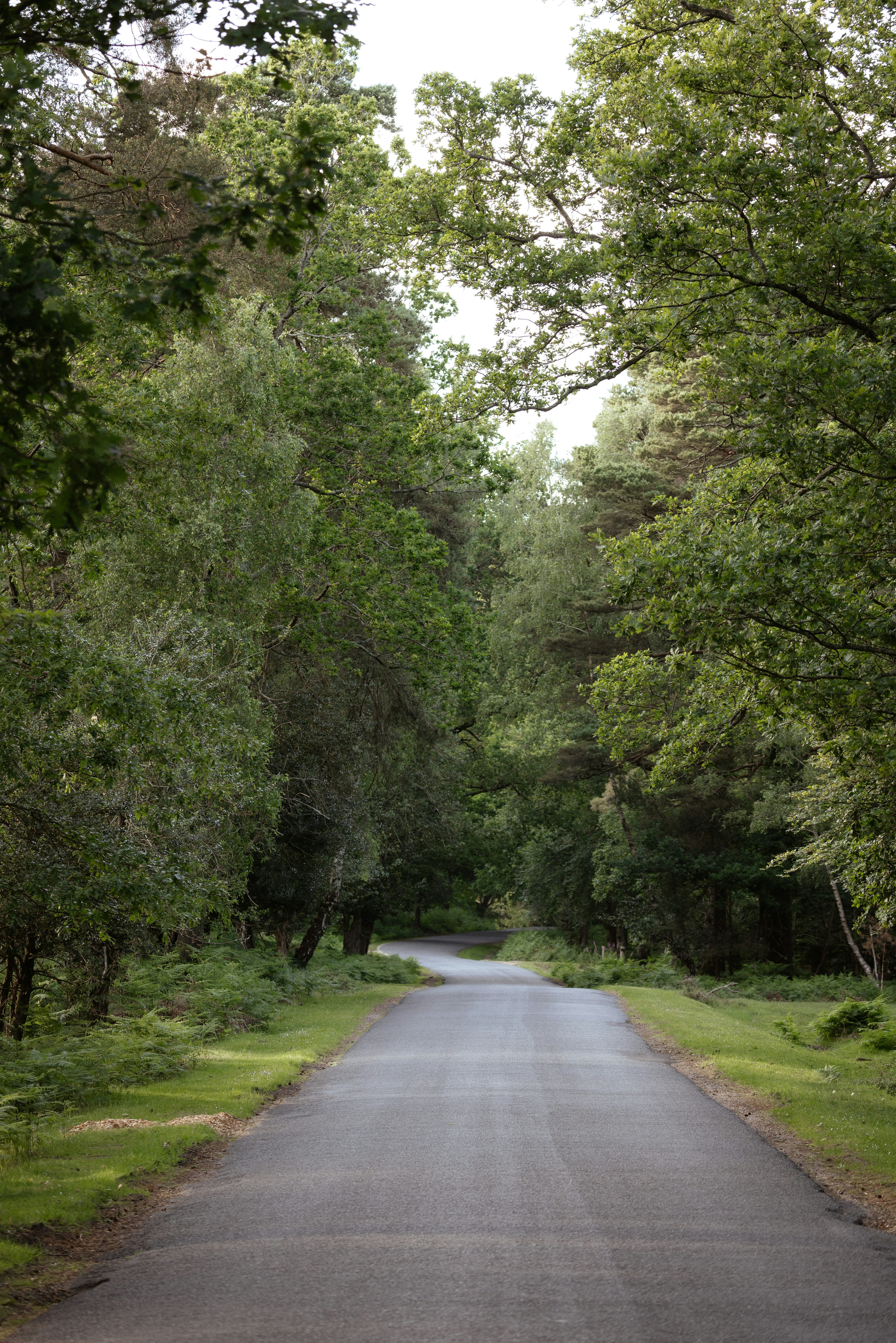 Photo by anniespratt