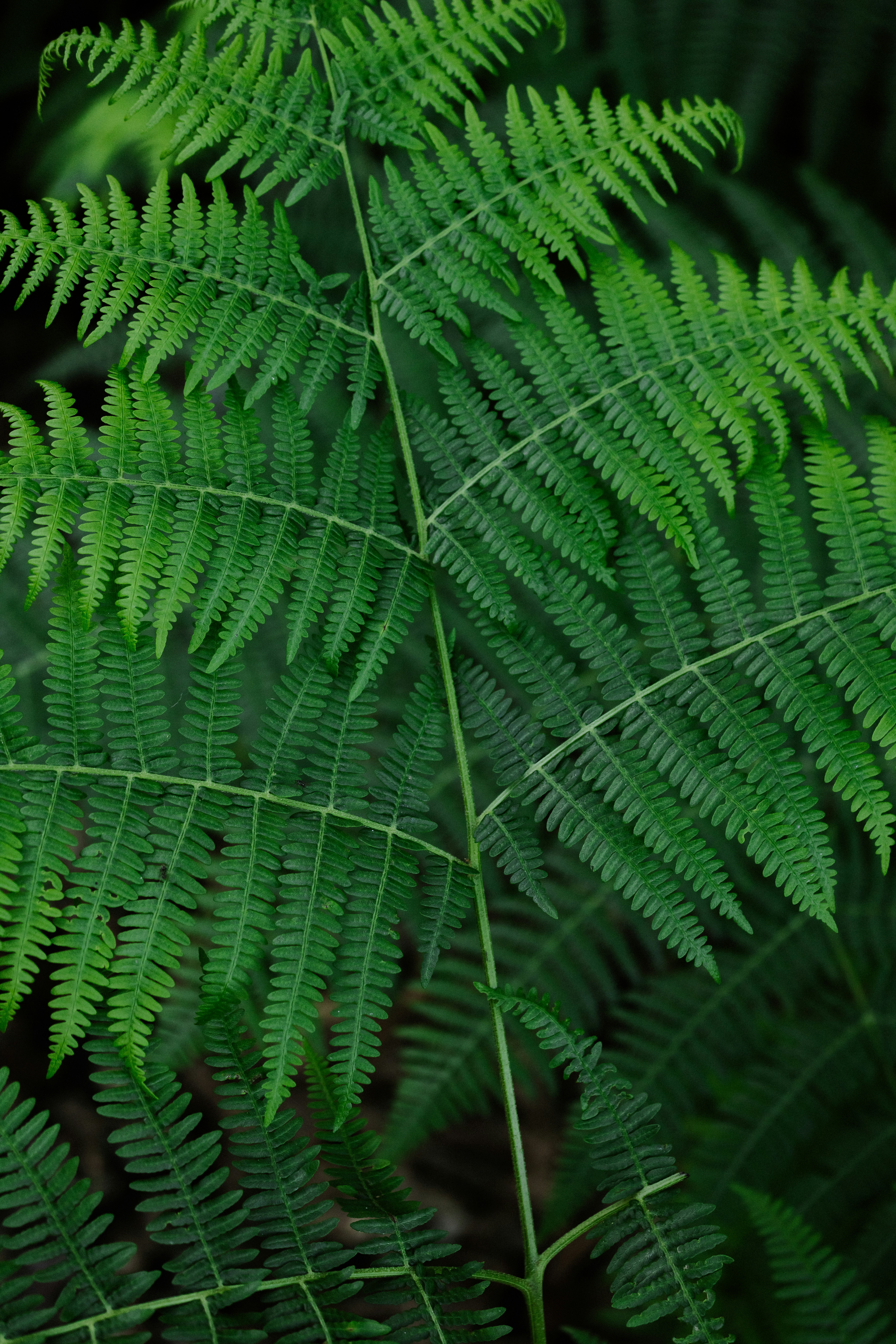 Photo by anniespratt