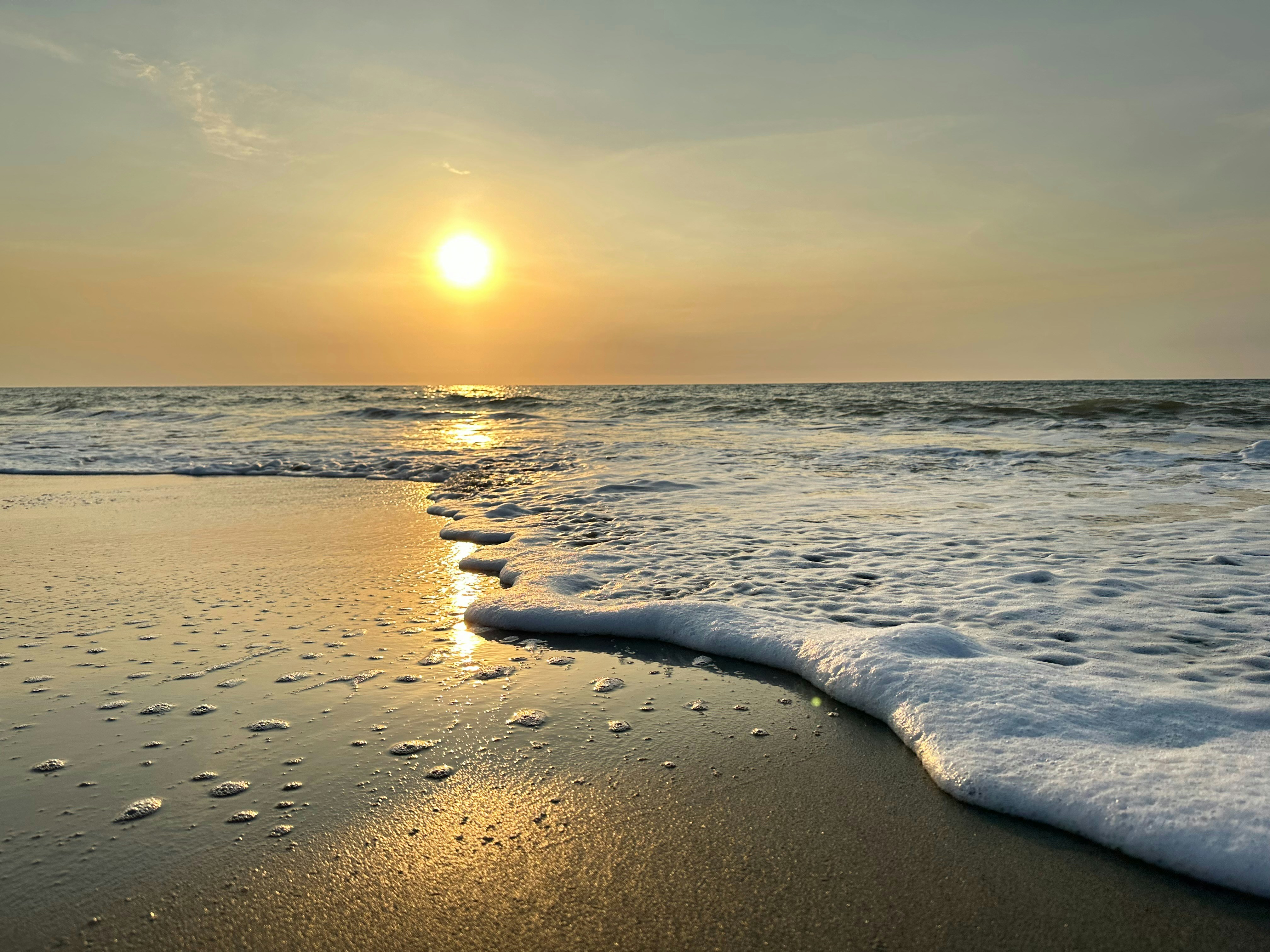 Photo by hodgepodgecoj