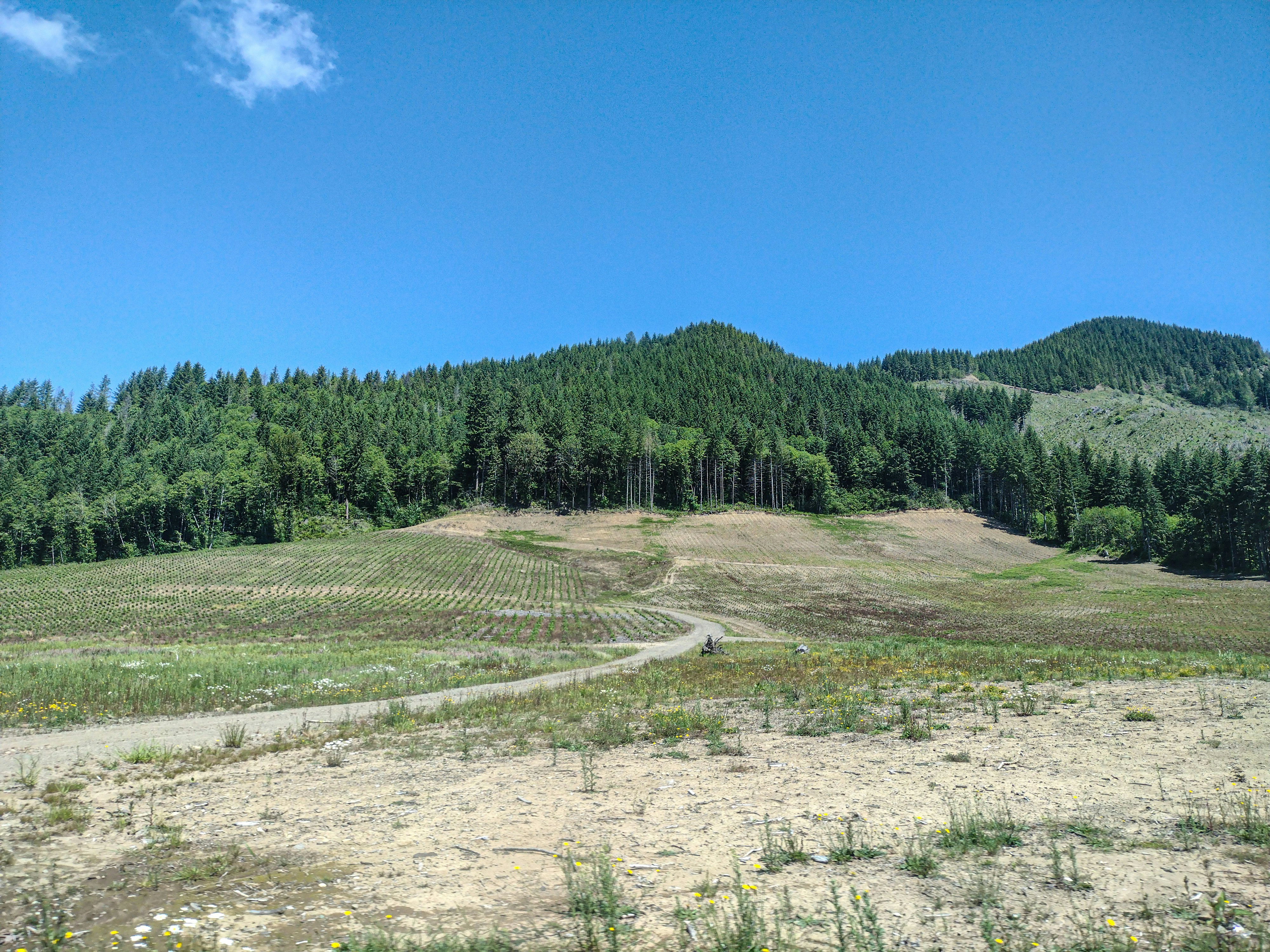 Photo by prphotography262