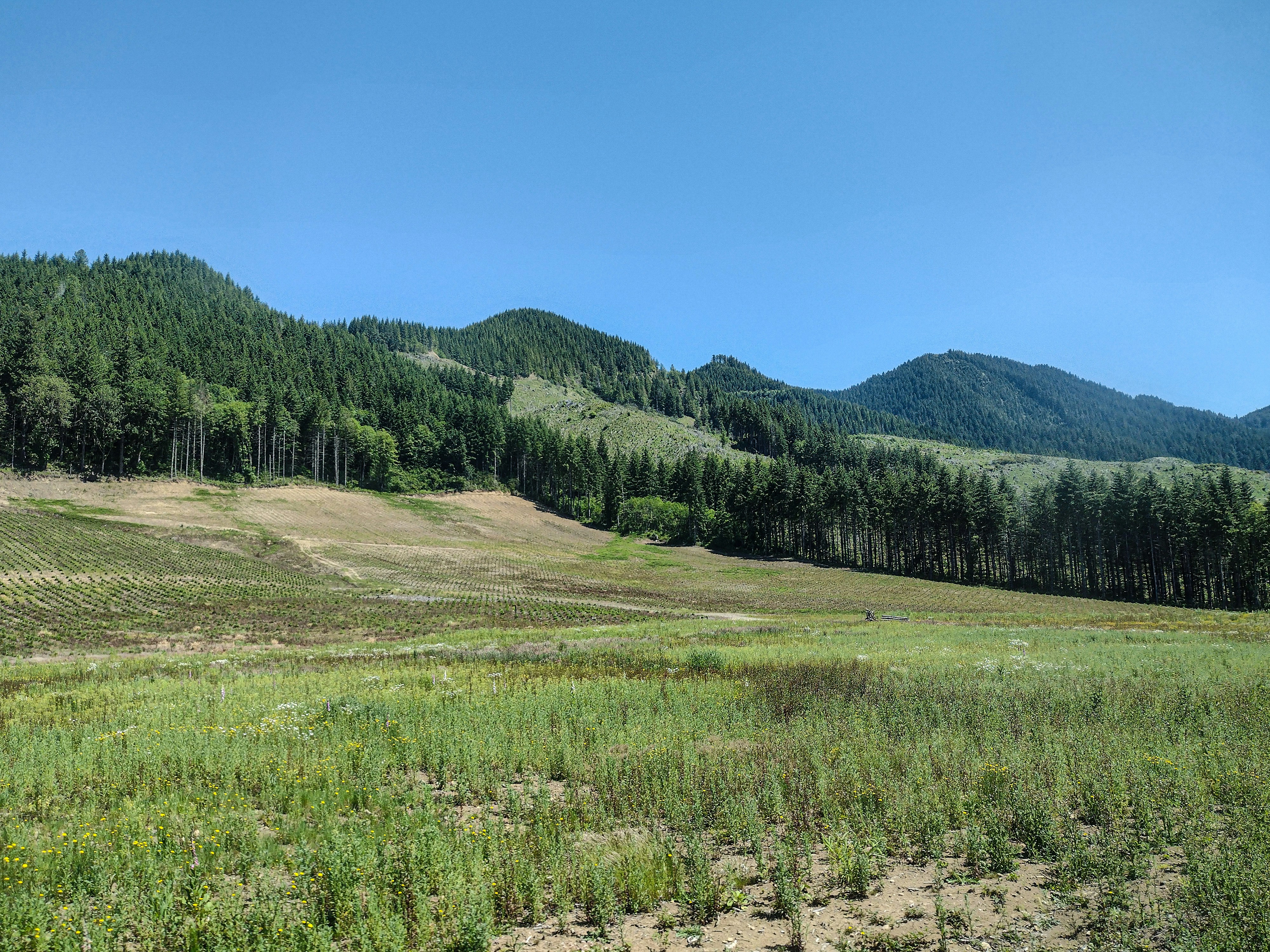 Photo by prphotography262