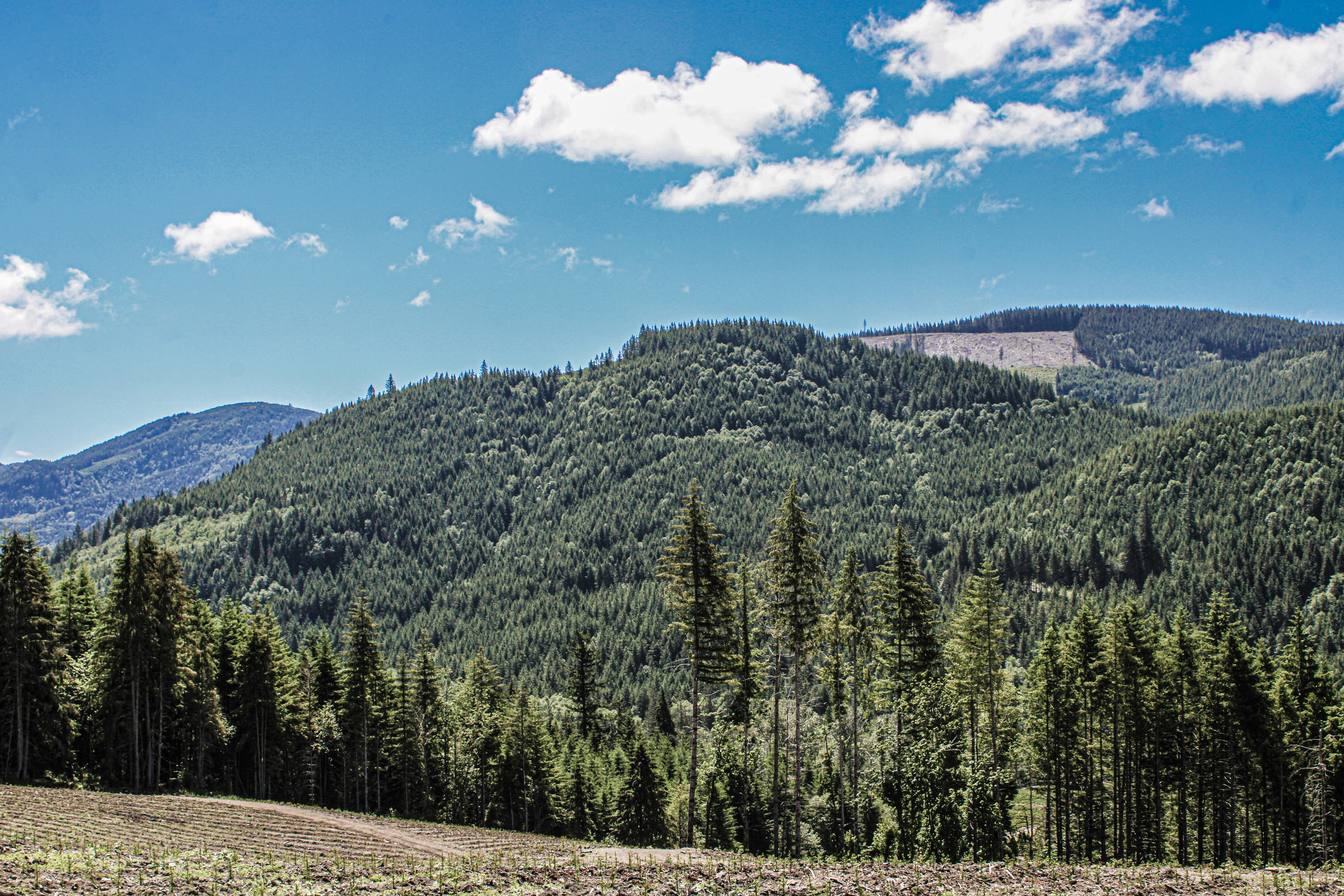 Photo by prphotography262