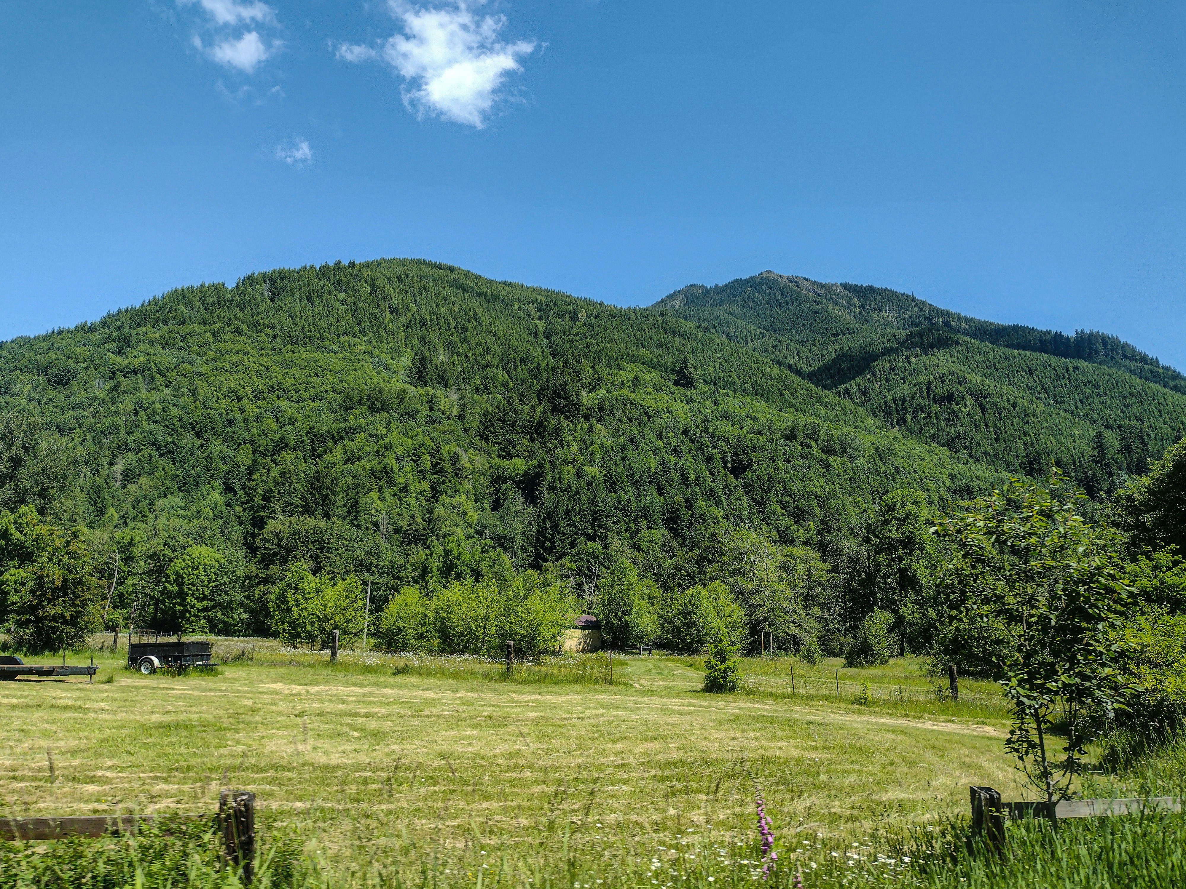 Photo by prphotography262