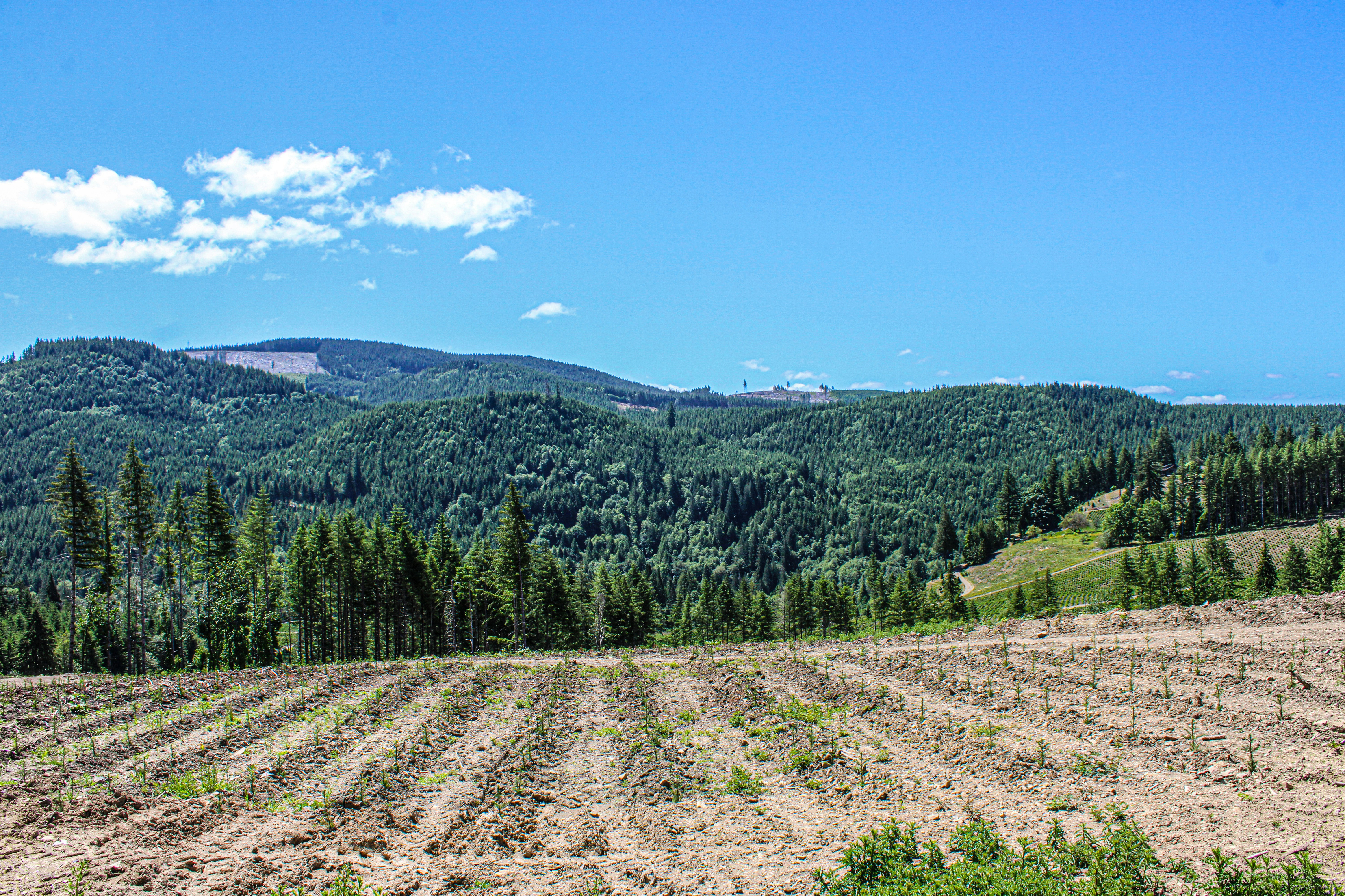 Photo by prphotography262