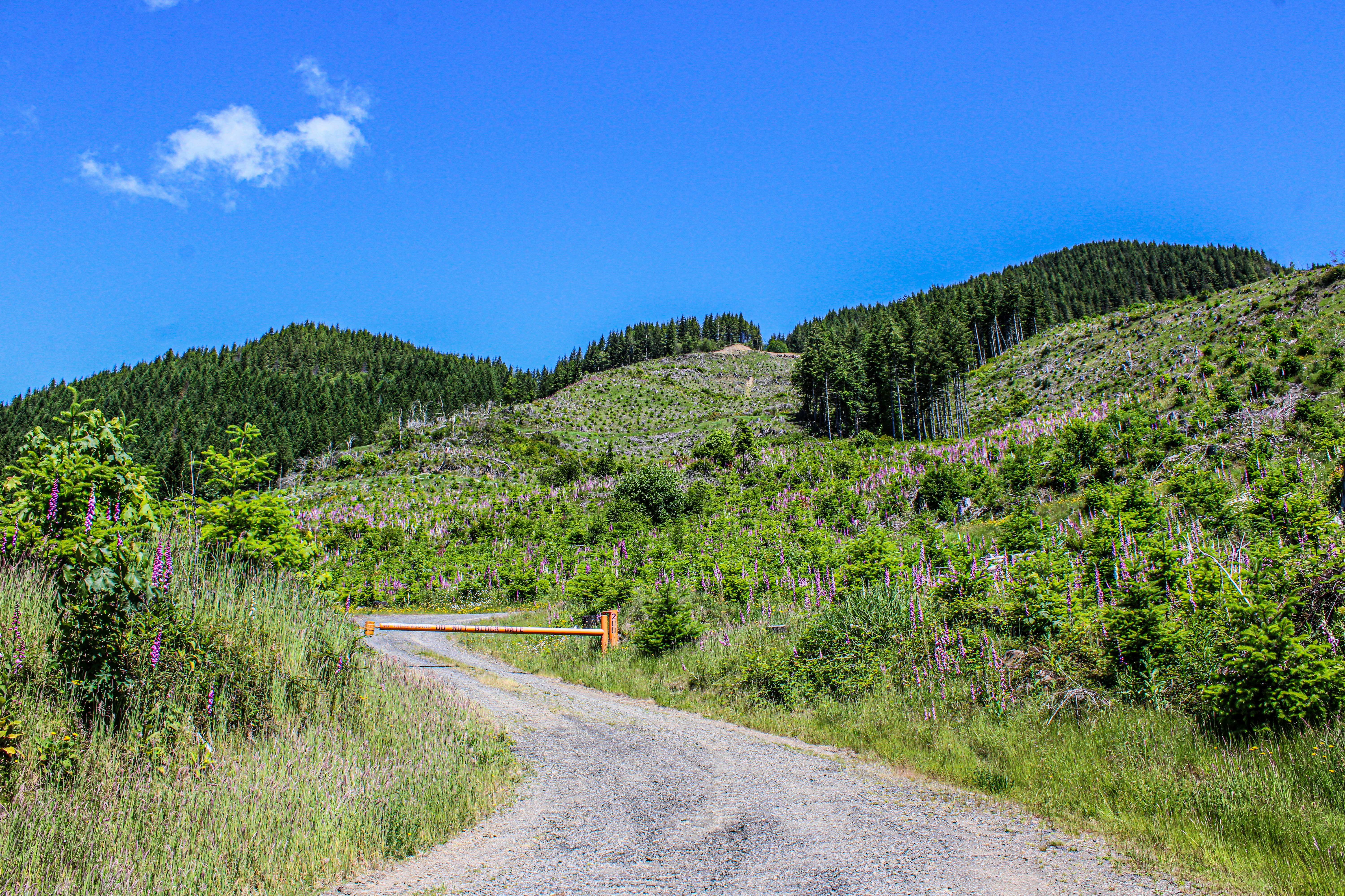 Photo by prphotography262