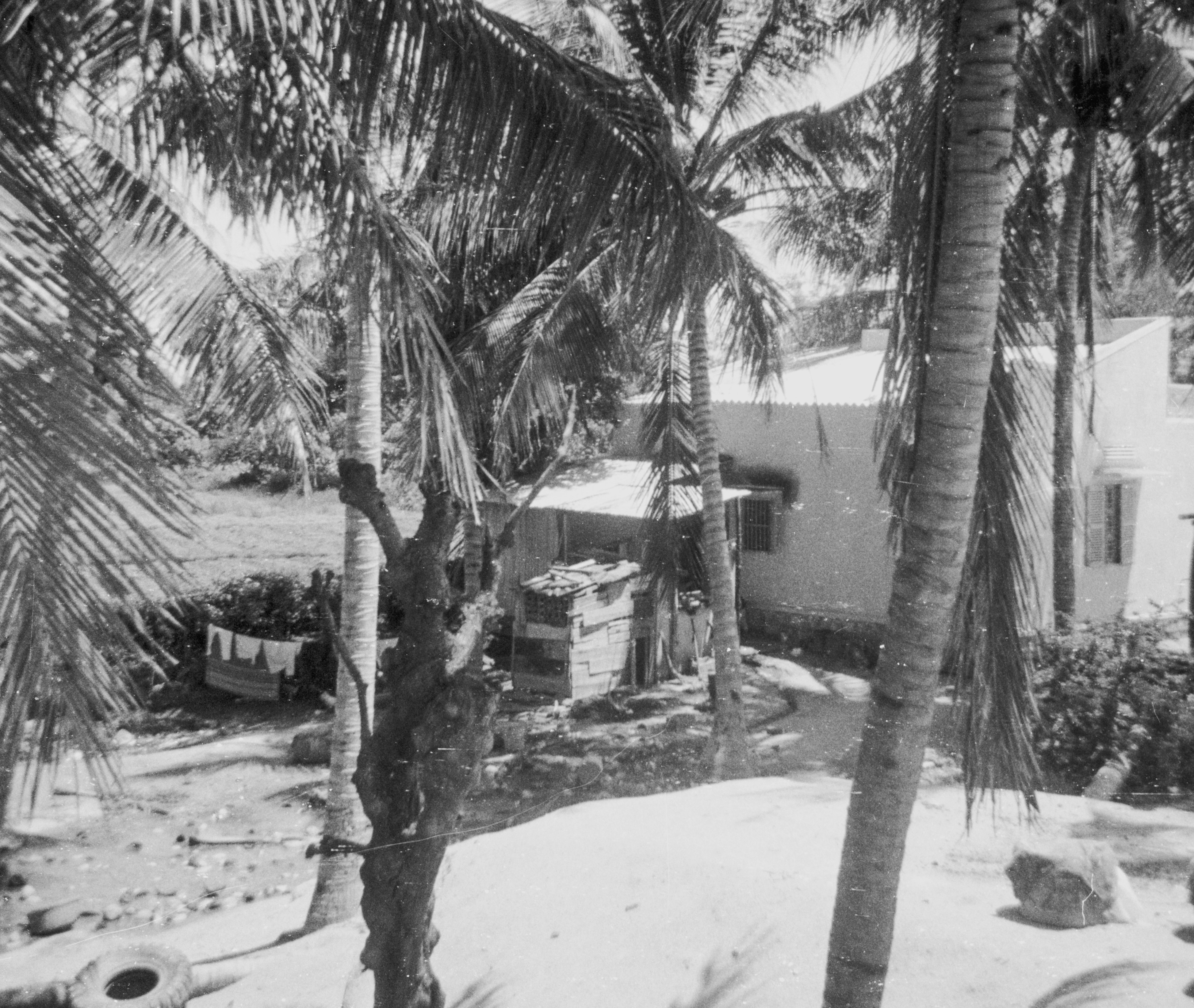 Photo by anniespratt