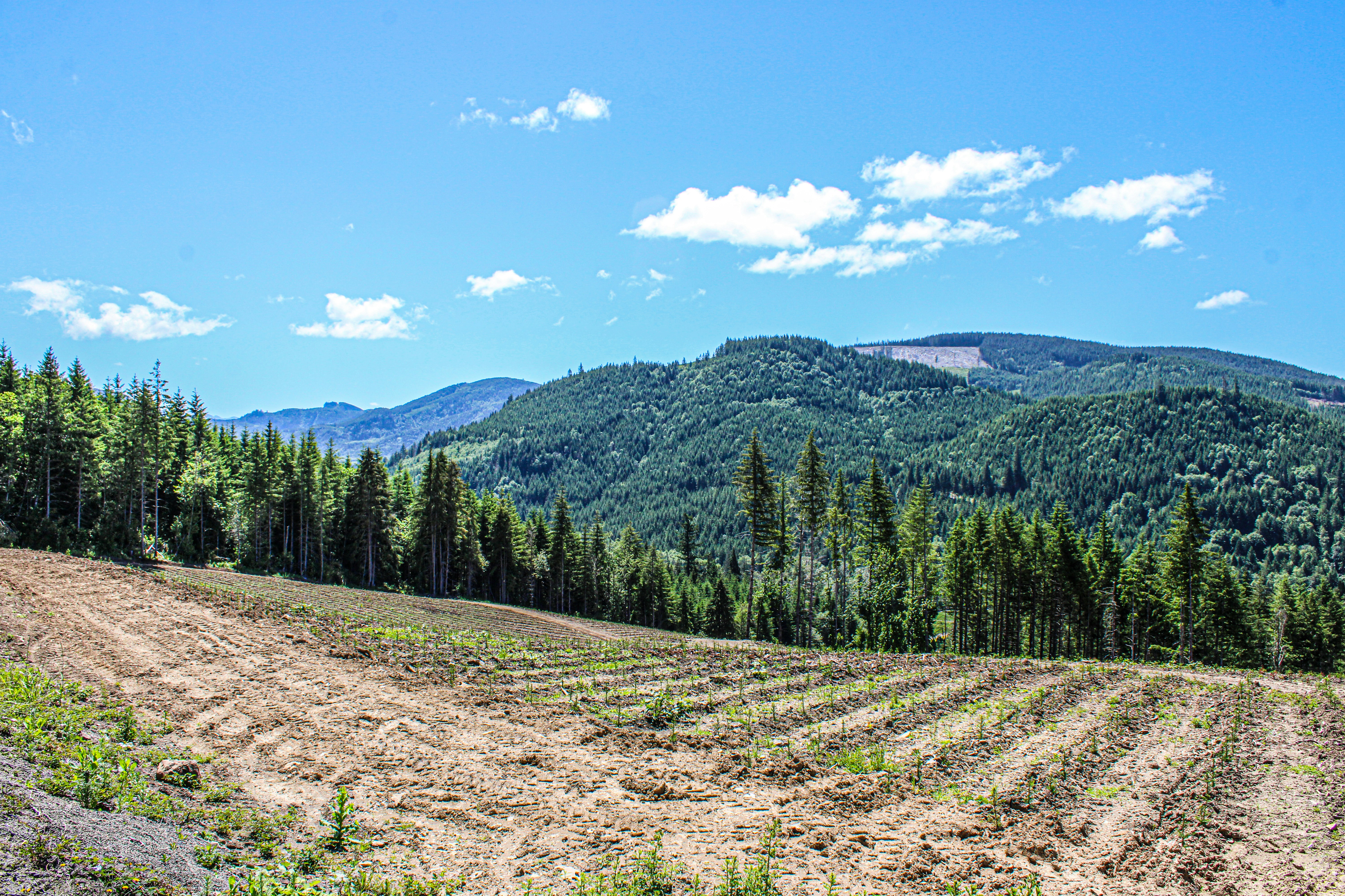 Photo by prphotography262