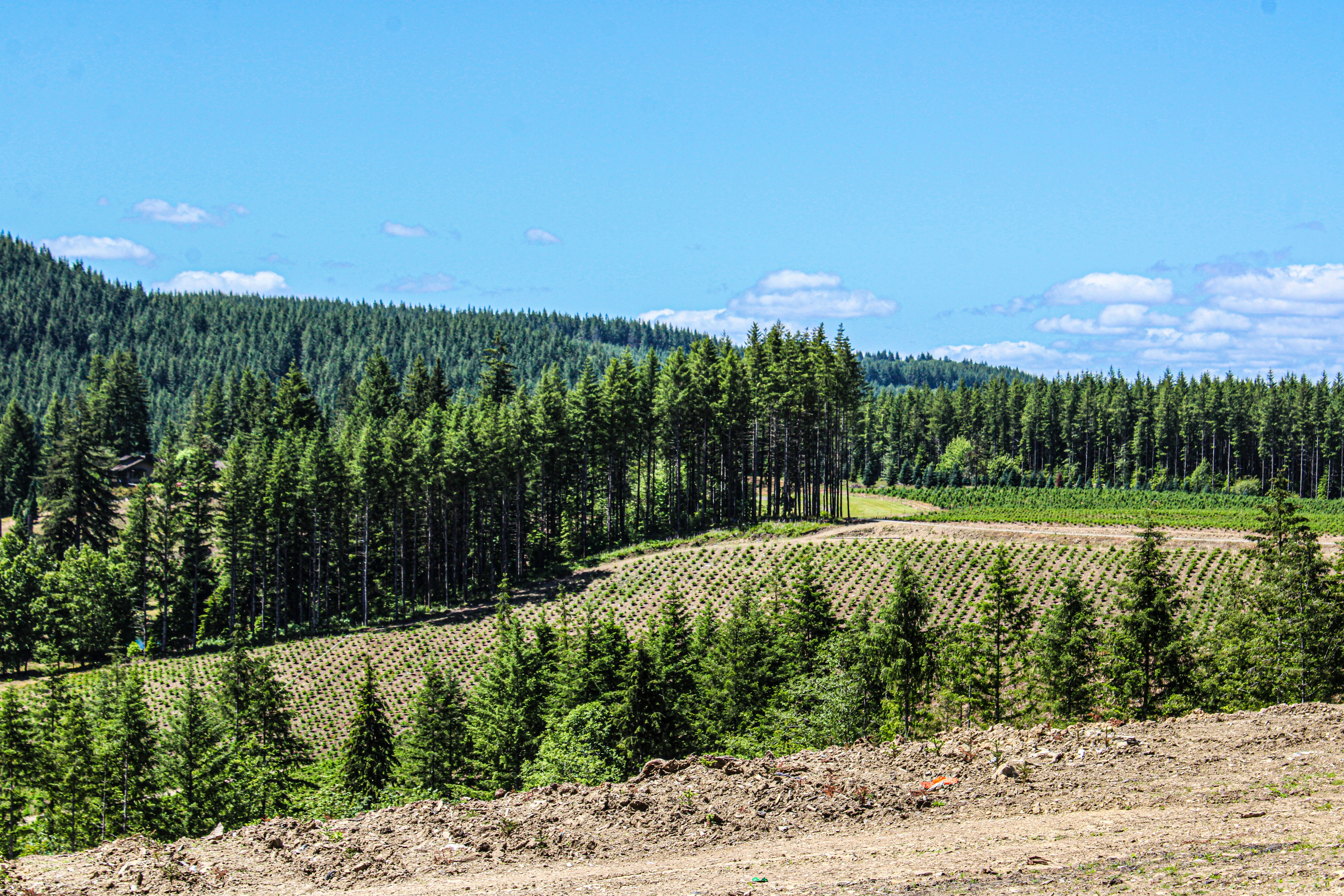 Photo by prphotography262