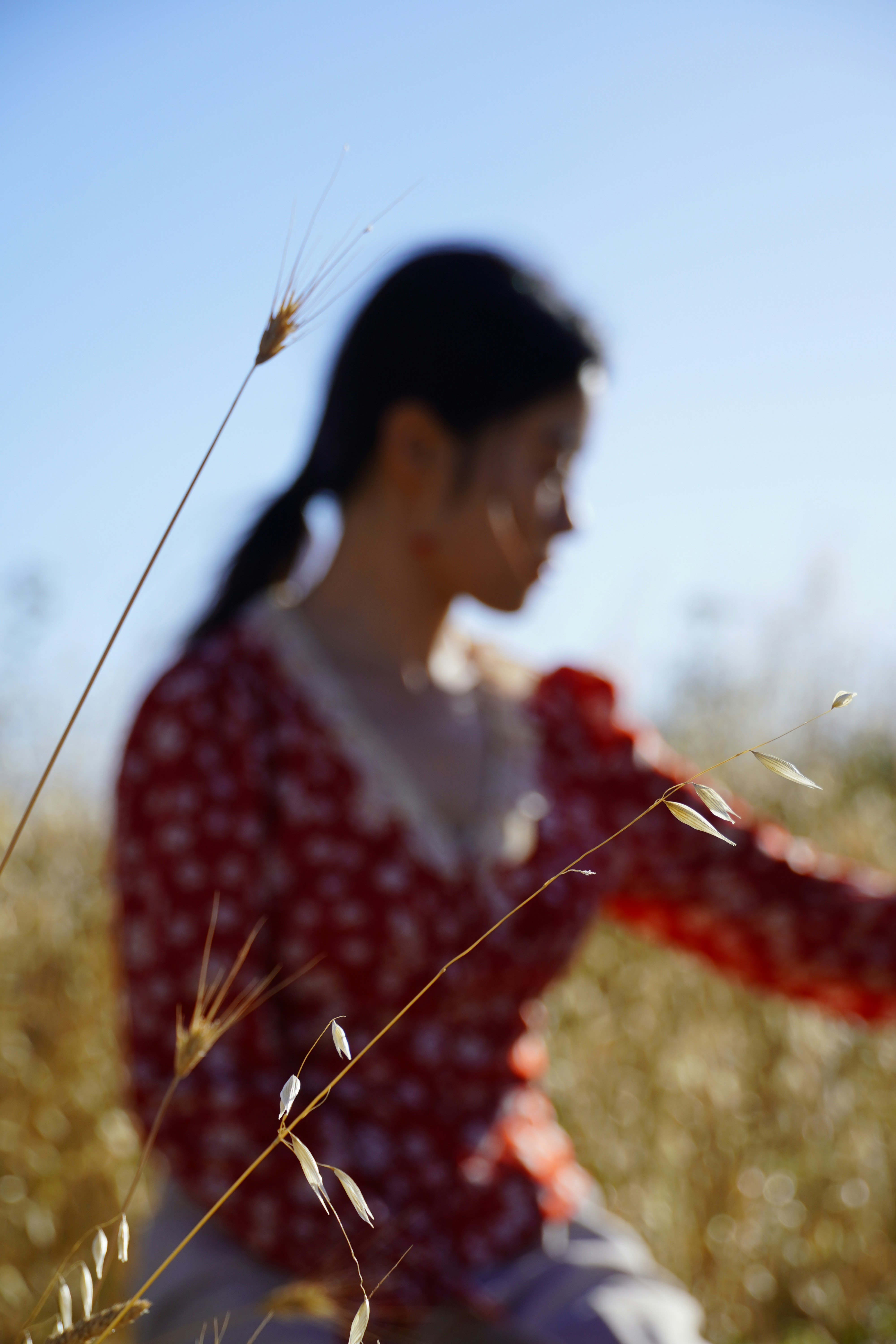 A woman standing in a field of tall grass photo – Free Flower Image on ...