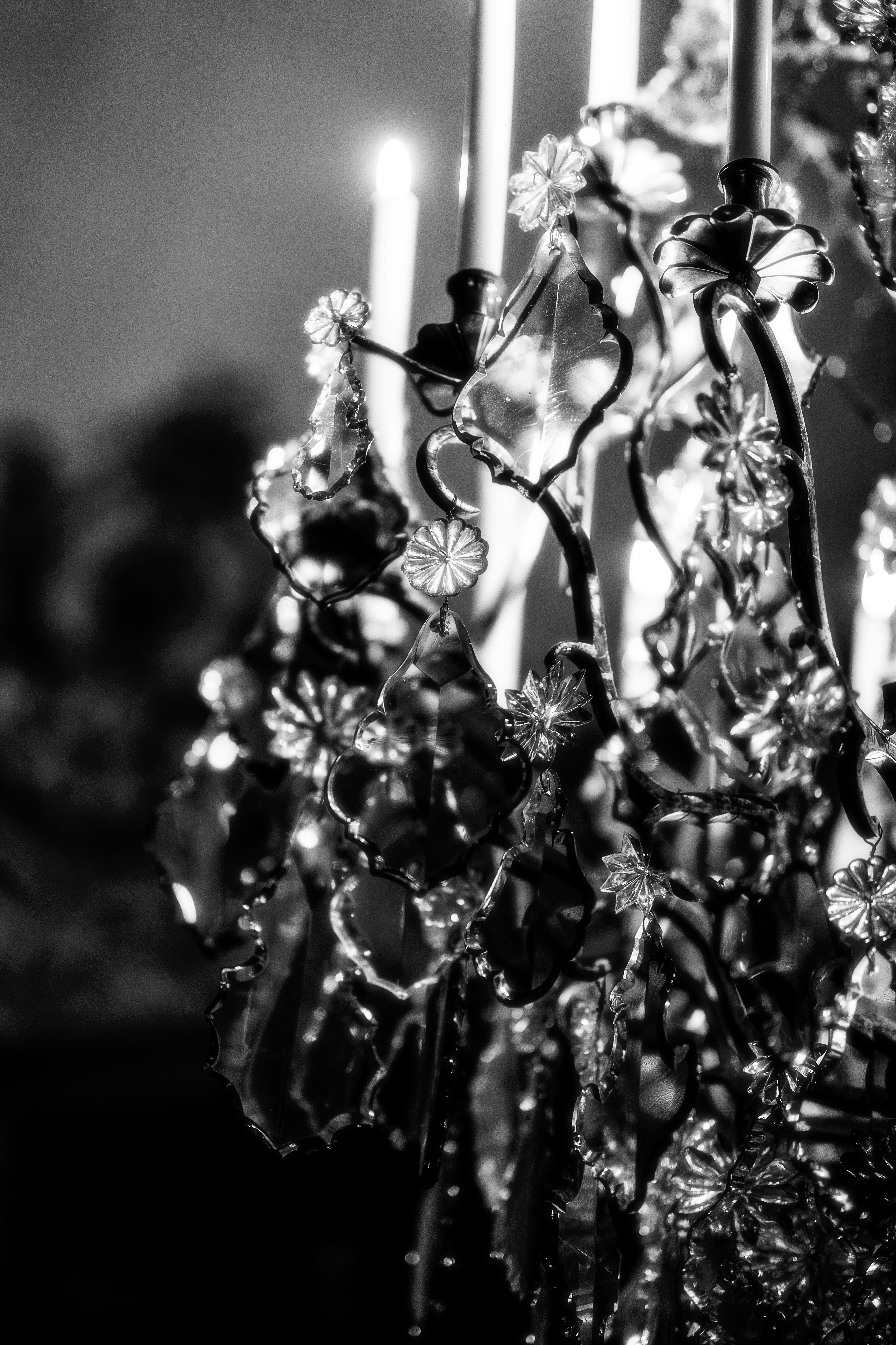 Photo by alingavriliuc