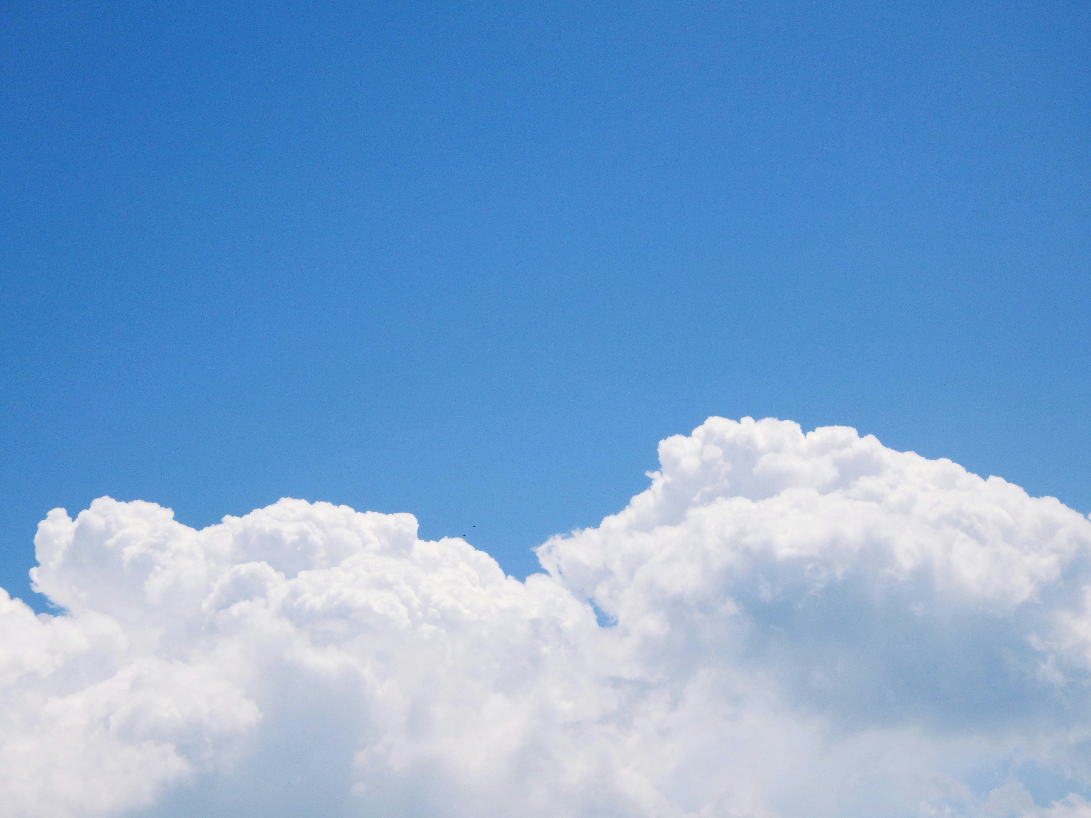 Photo by dominapetric