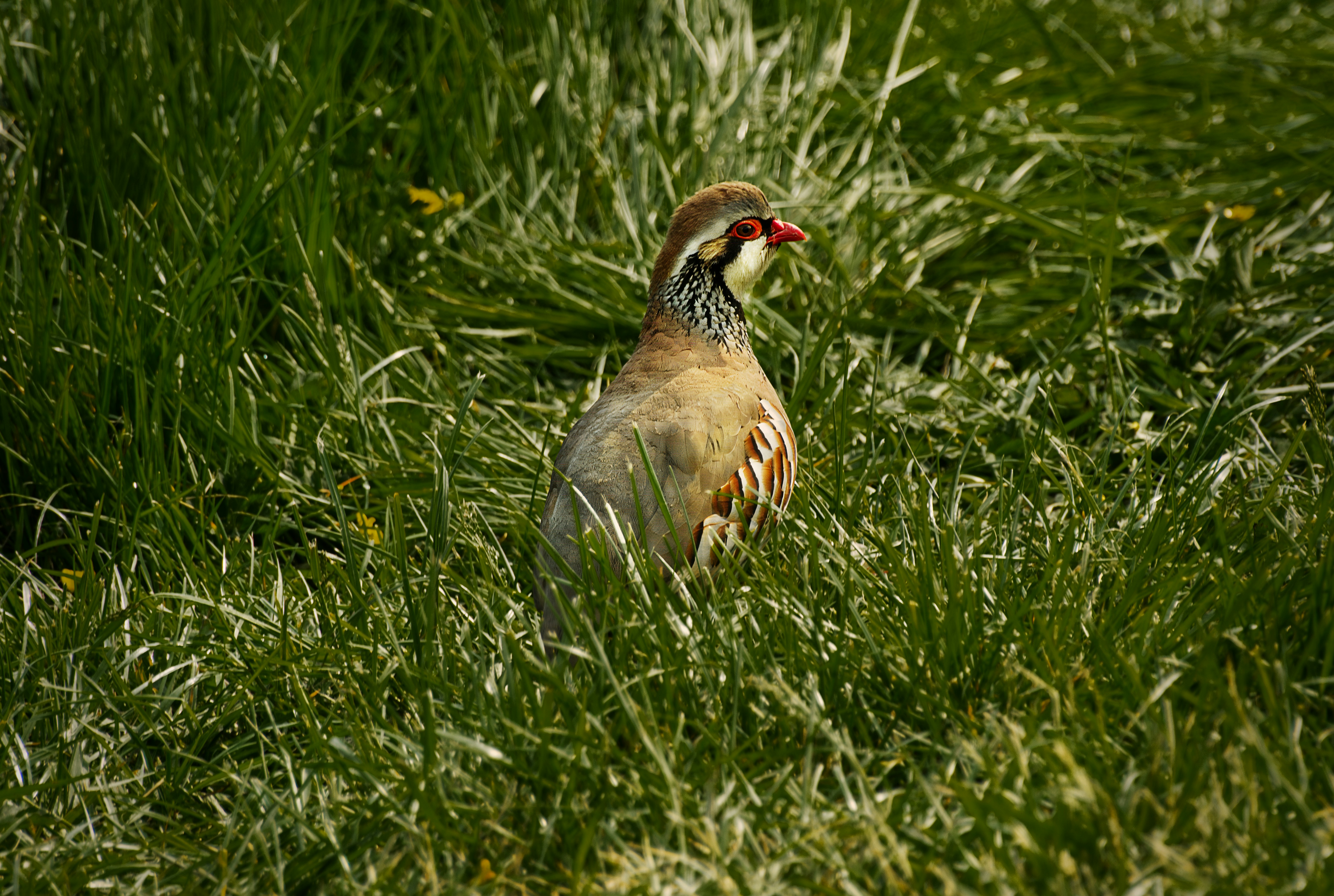 Photo by packetdiscards