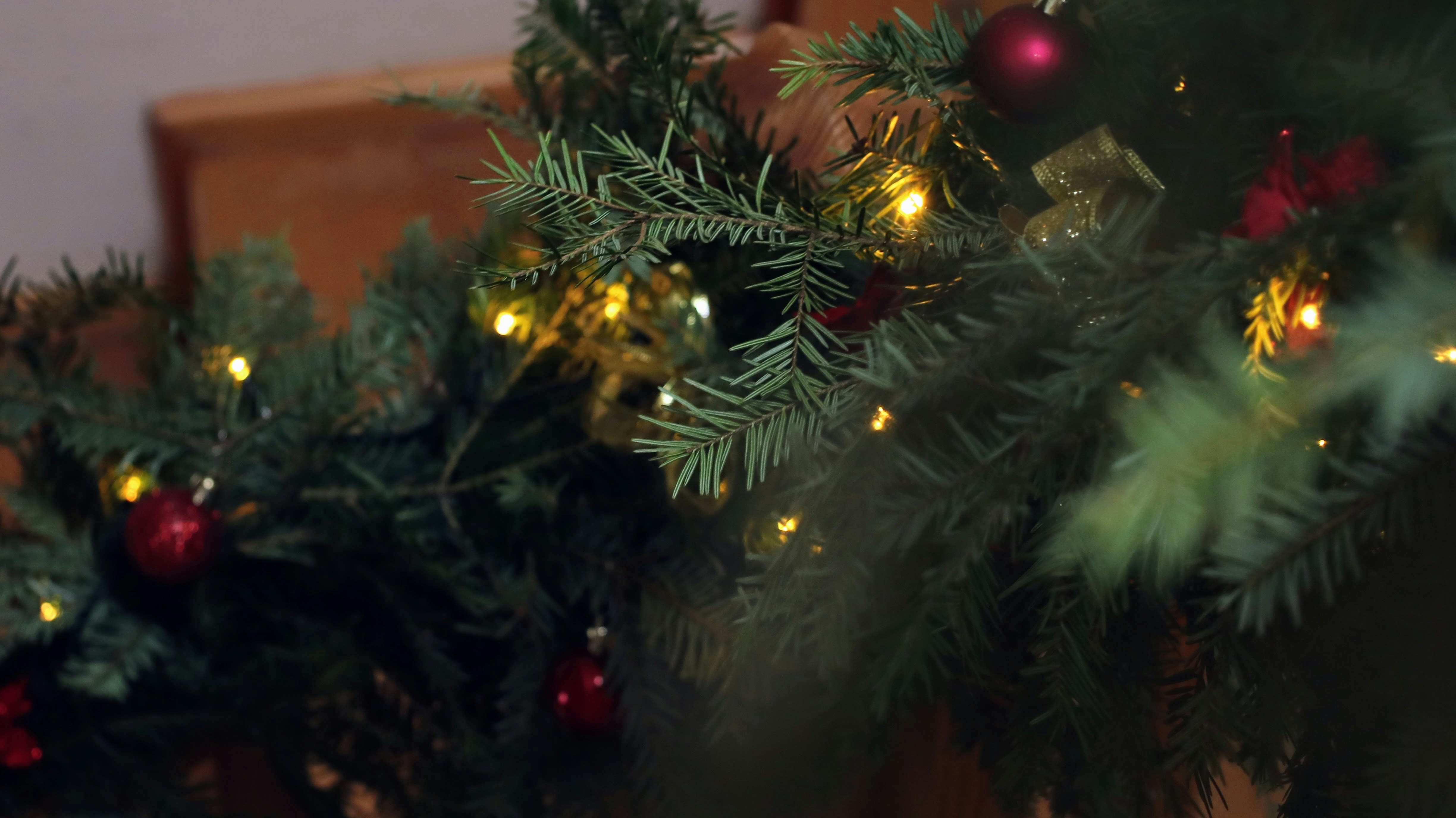 A close up of a decorated christmas tree
