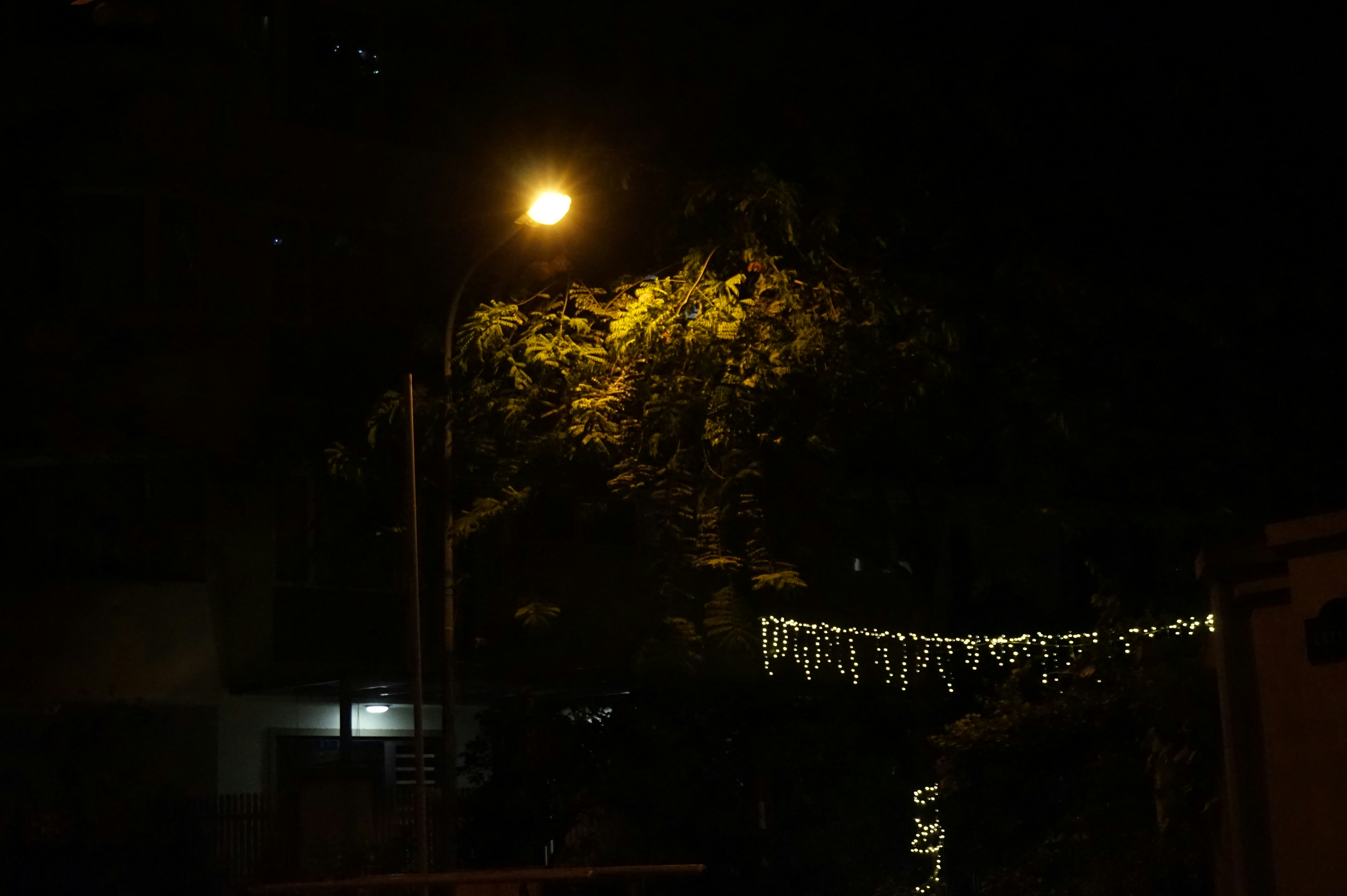 Street light at night in residential community