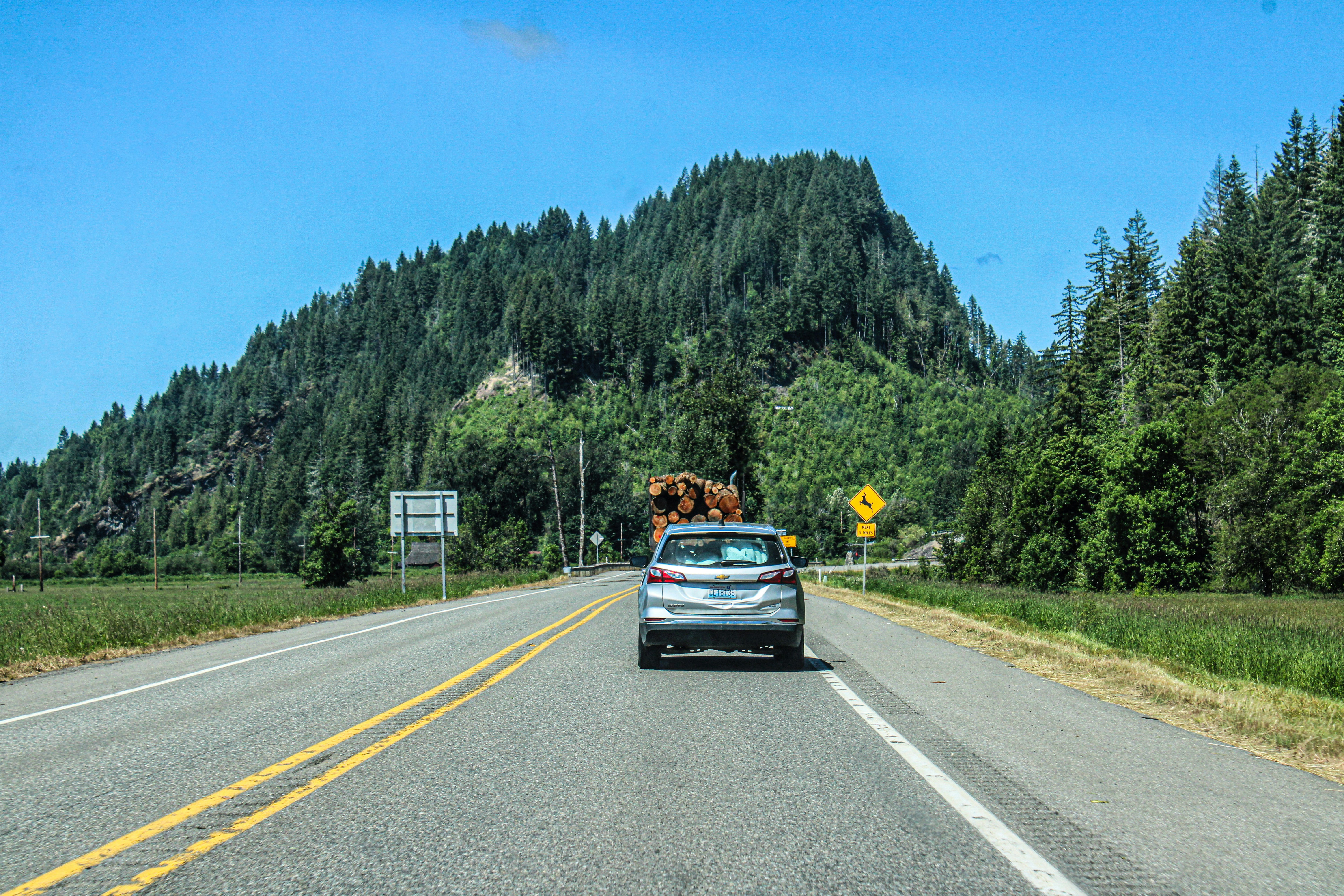A car driving down a road with a horse on the back of it