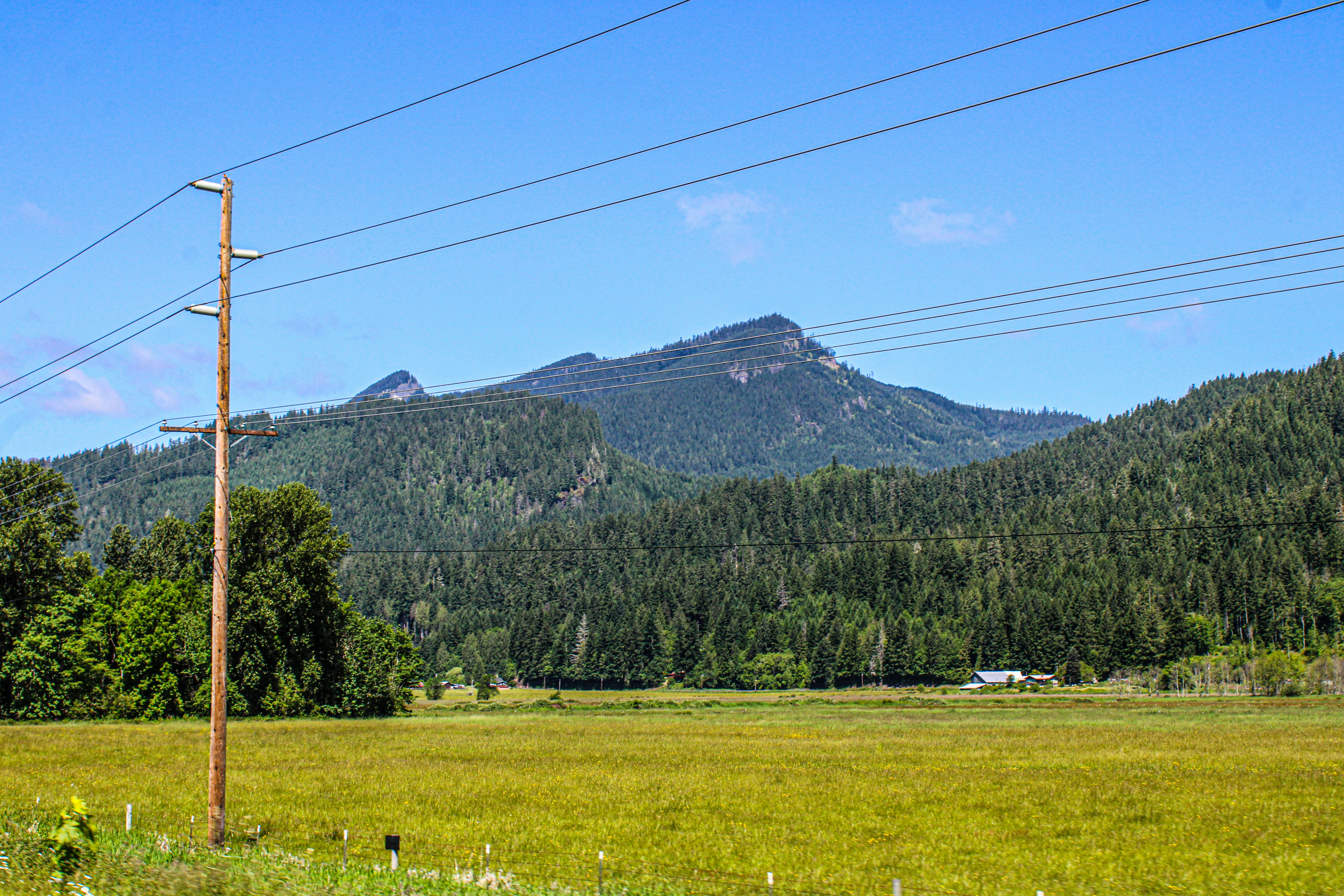 A field with a mountain in the background