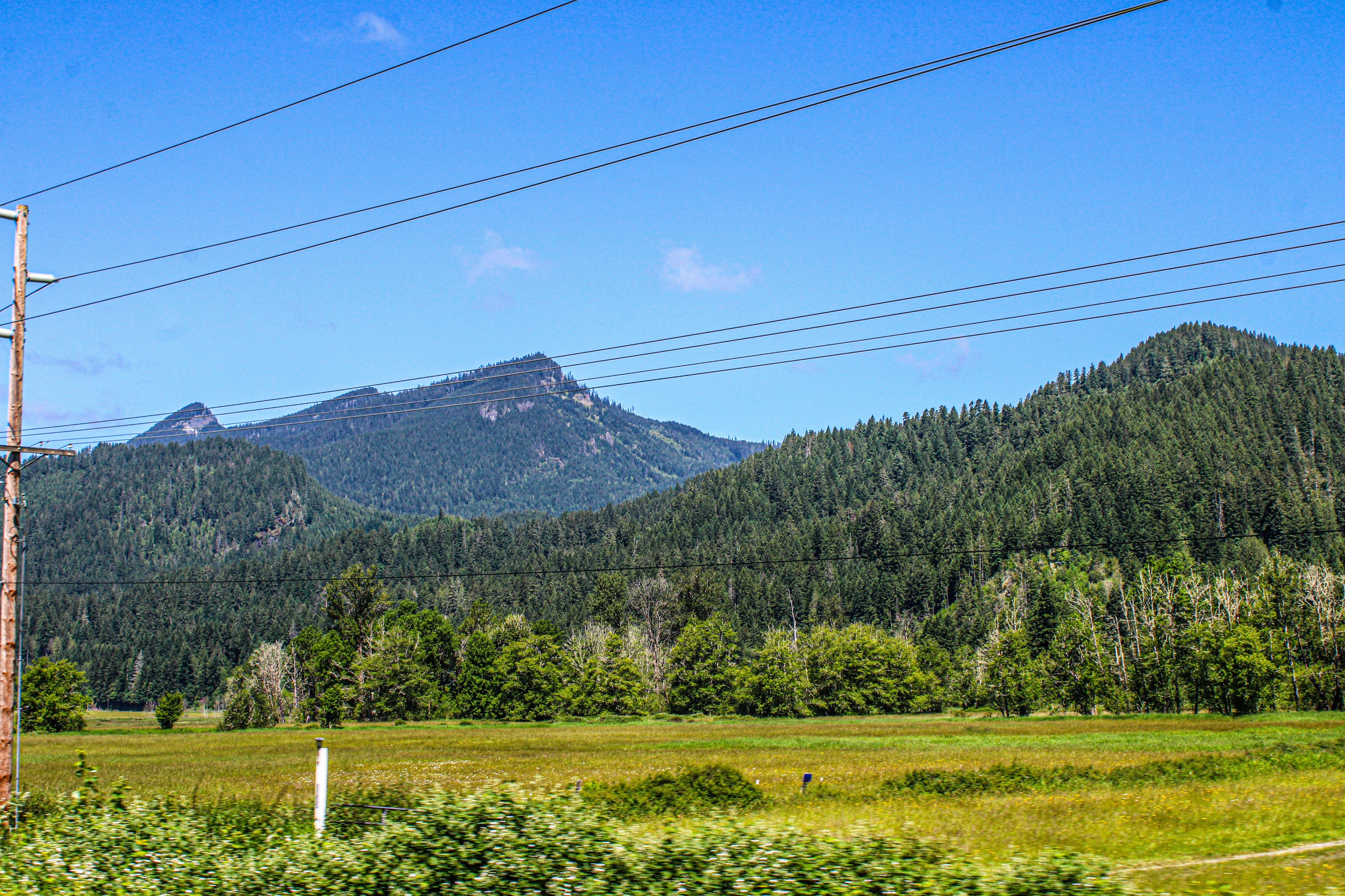 Photo by prphotography262